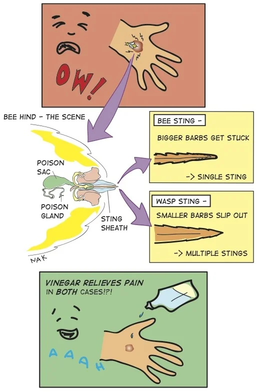 Science Illustrations