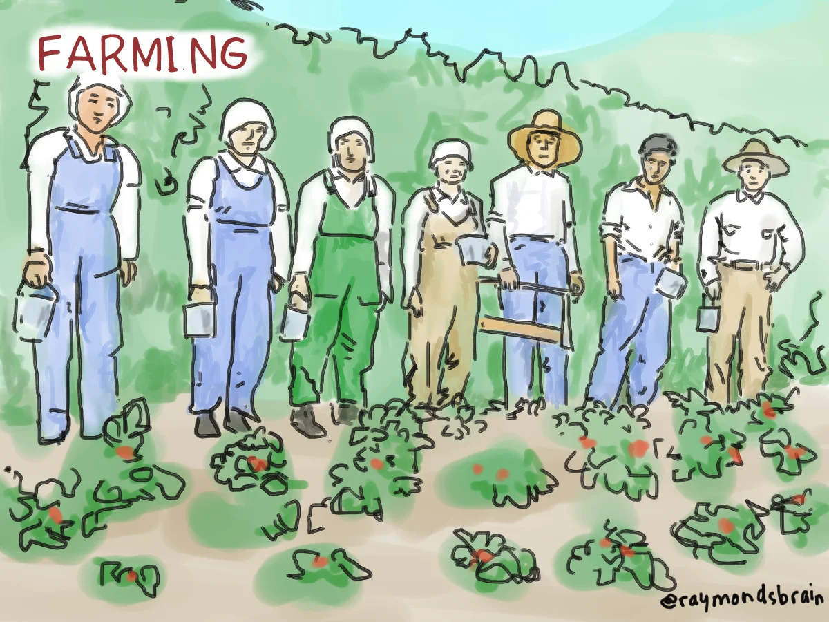 As Japanese migrant labourers became settlers, they moved into farming, particularly strawberry farming. They began by working land that had been cleared of big trees. Strawberry crops required back-breaking, meticulous maintenance, which perhaps similar to growing rice. Japanese farmers worked together in cooperatives, as in the area still known as Strawberry Hill in Surrey. One of these farmers would become my grandfather. This drawing is based on Photo 2010.23.2.4.708 in the Nikkei National Museum online collection , taken in Haney around 1920.