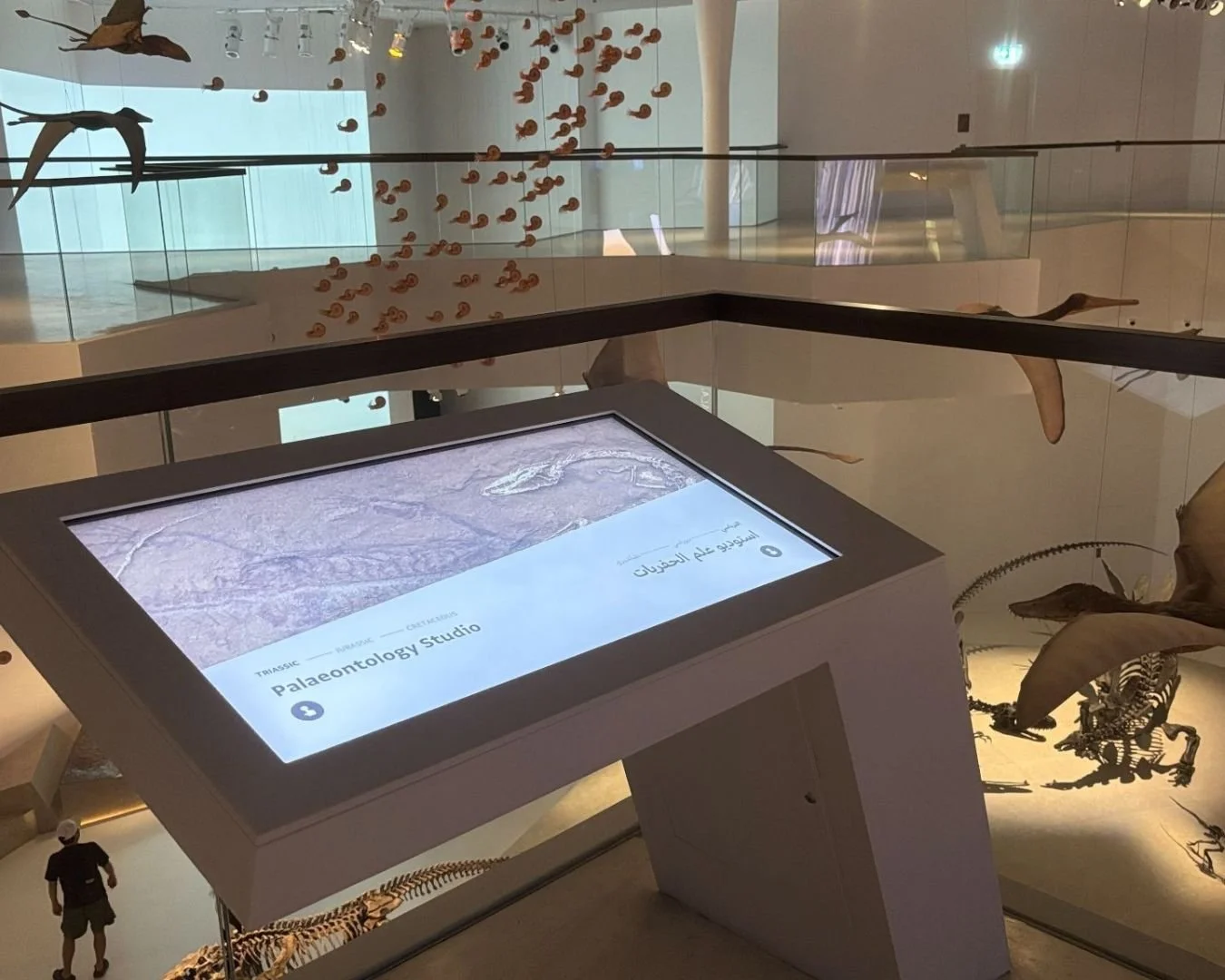 Abu Dhabi Natural History Museum, 2025