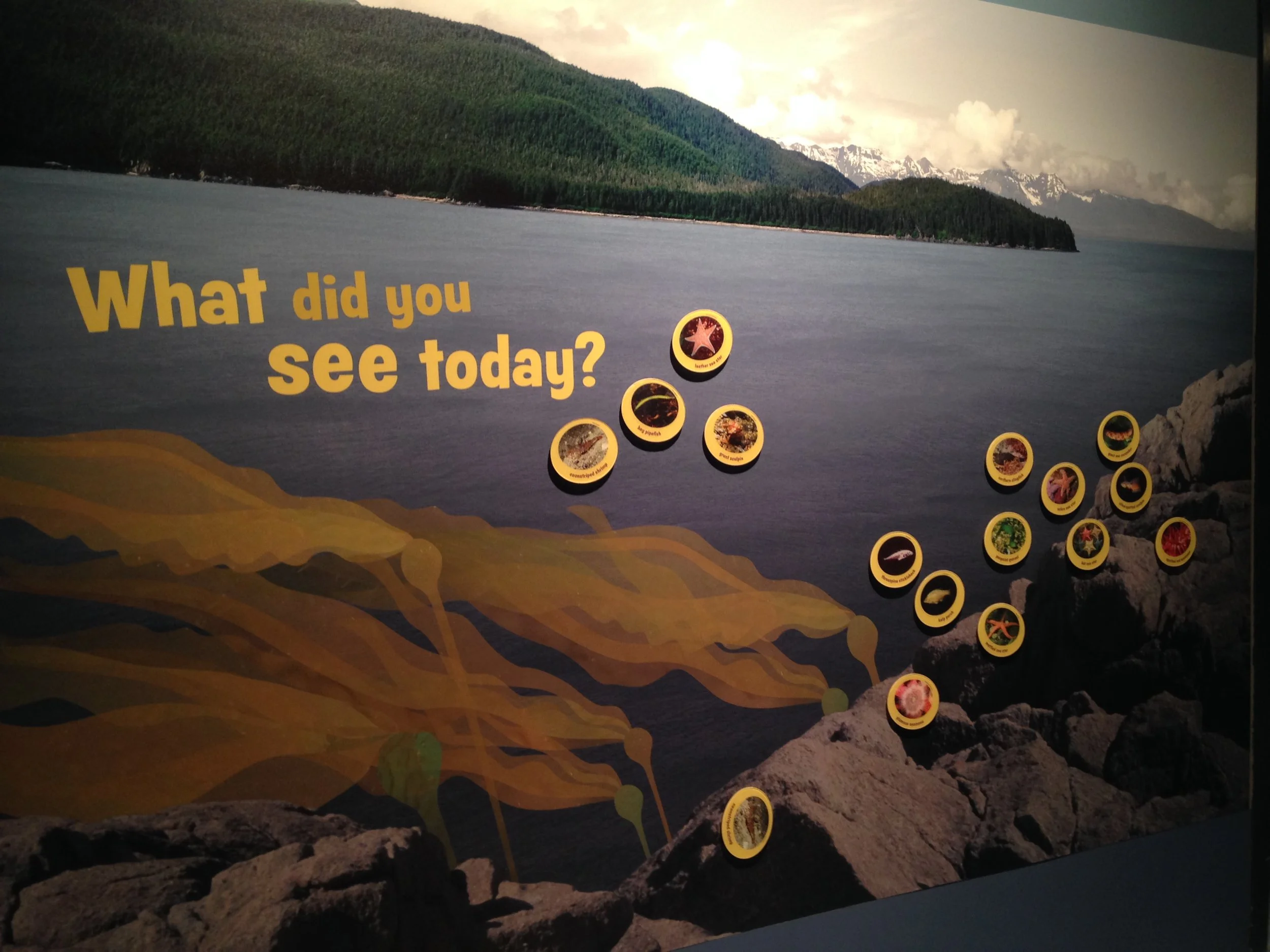 VACC_2.0__see today.jpeg