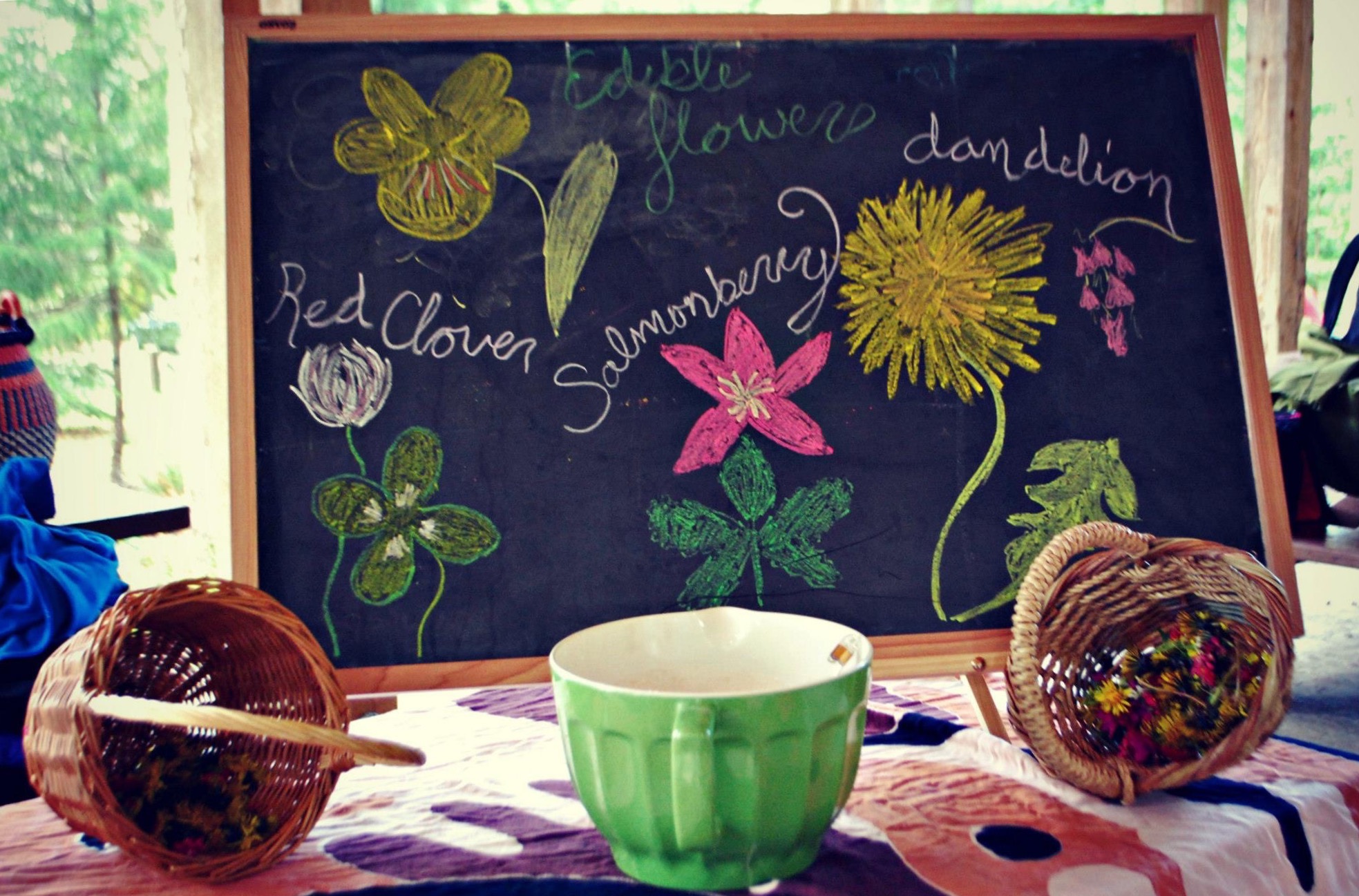 Eating plants that we forage connects our students to where their food comes from. Picking food right off the plant develops appreciation and understanding of plants that give us food.