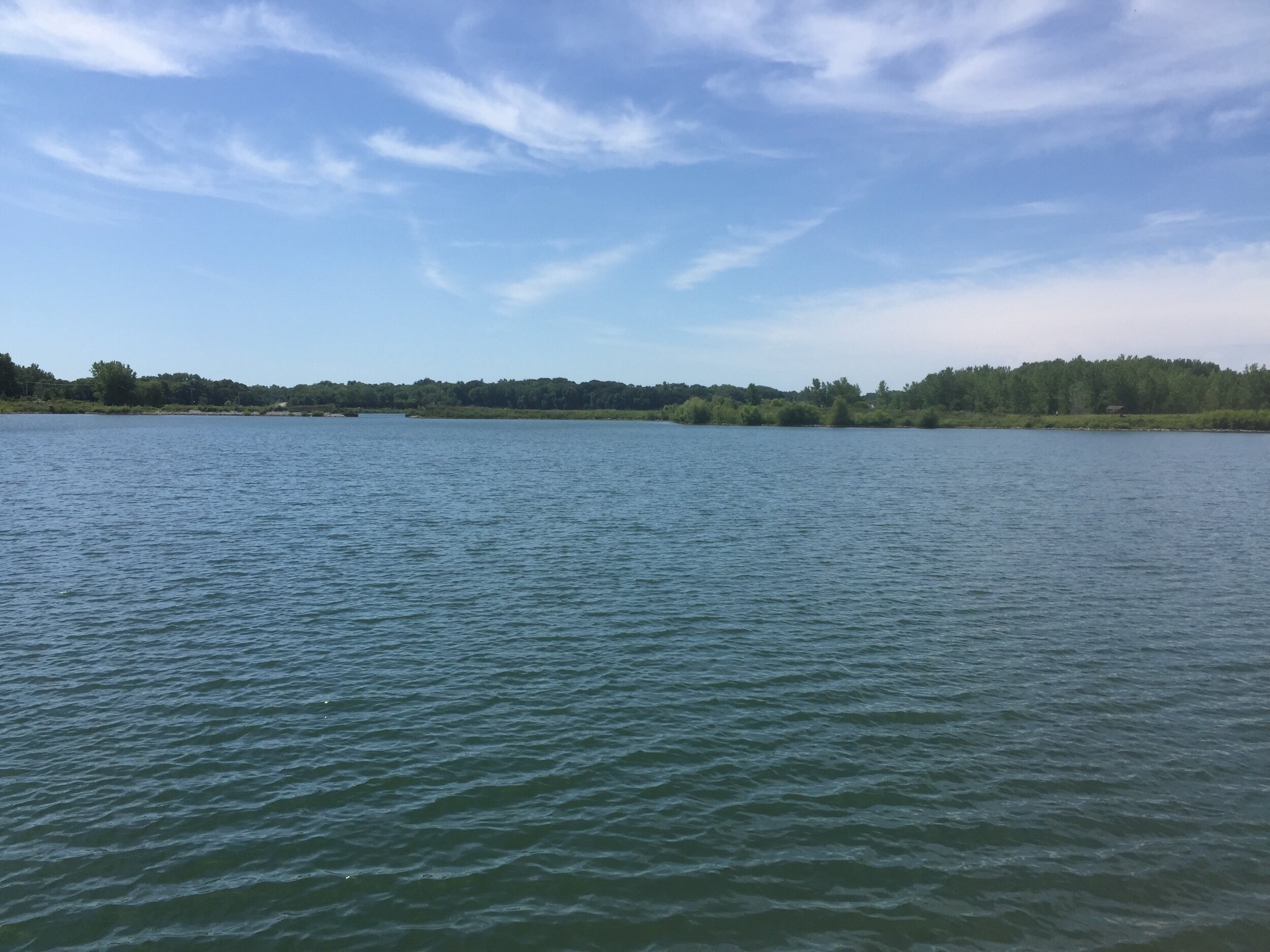 IMG_8560.jpeg