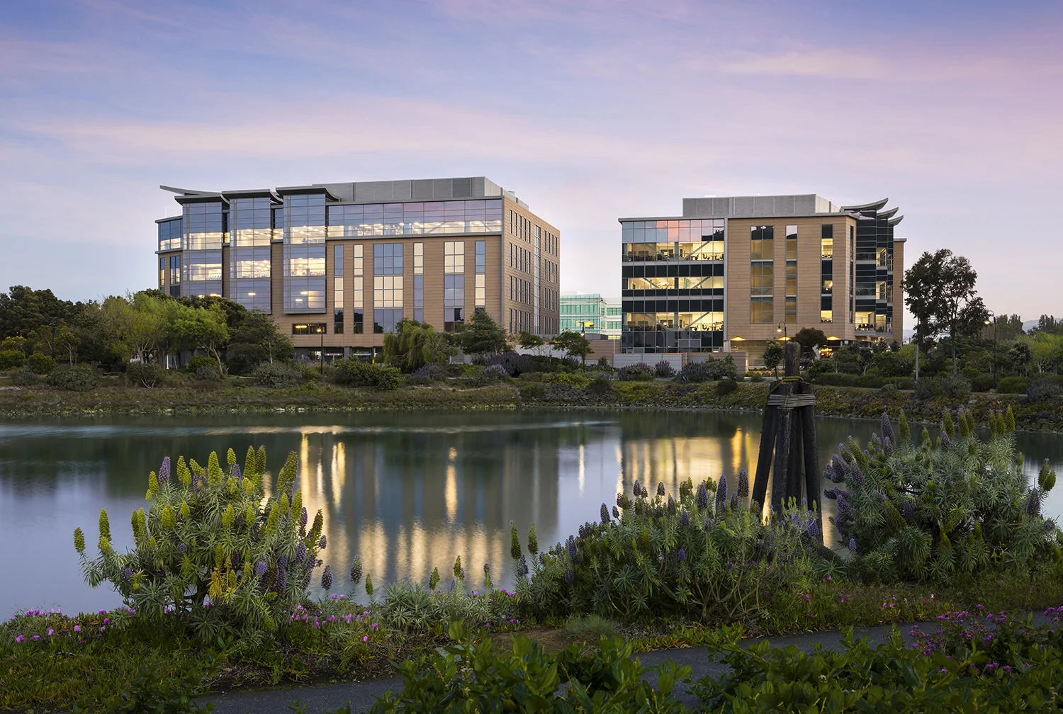 Britannia Cove at Oyster Point.jpg