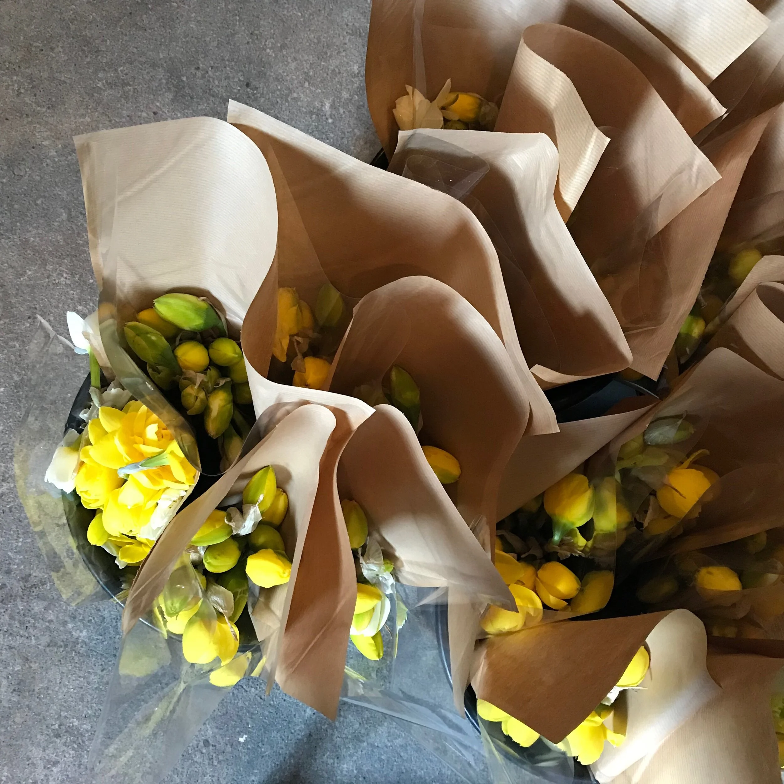 FEC4FEA5-7E33-4C25-A75A-CD3824E0321B