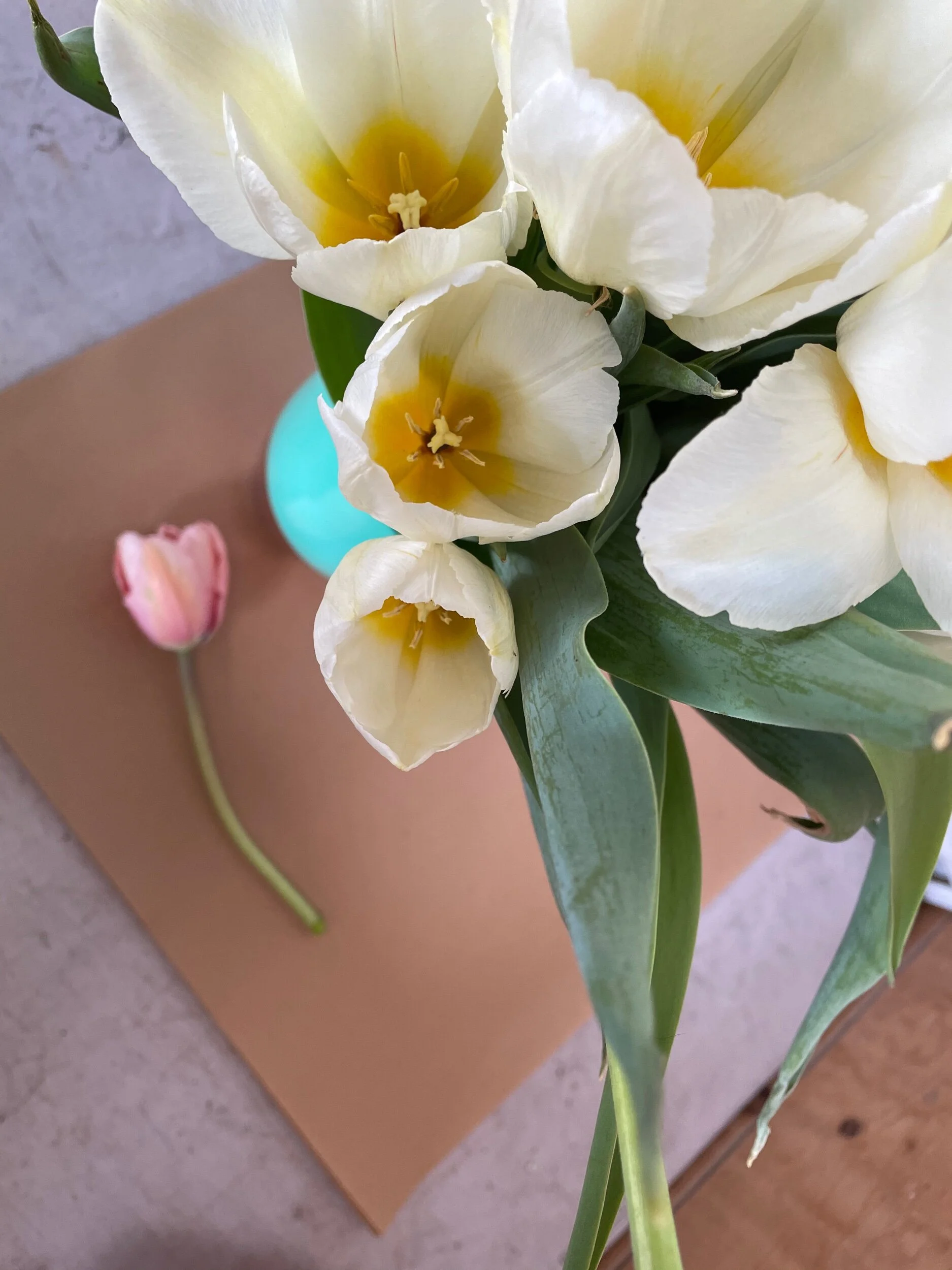 14428147-637D-4548-89BA-E7040075BB99