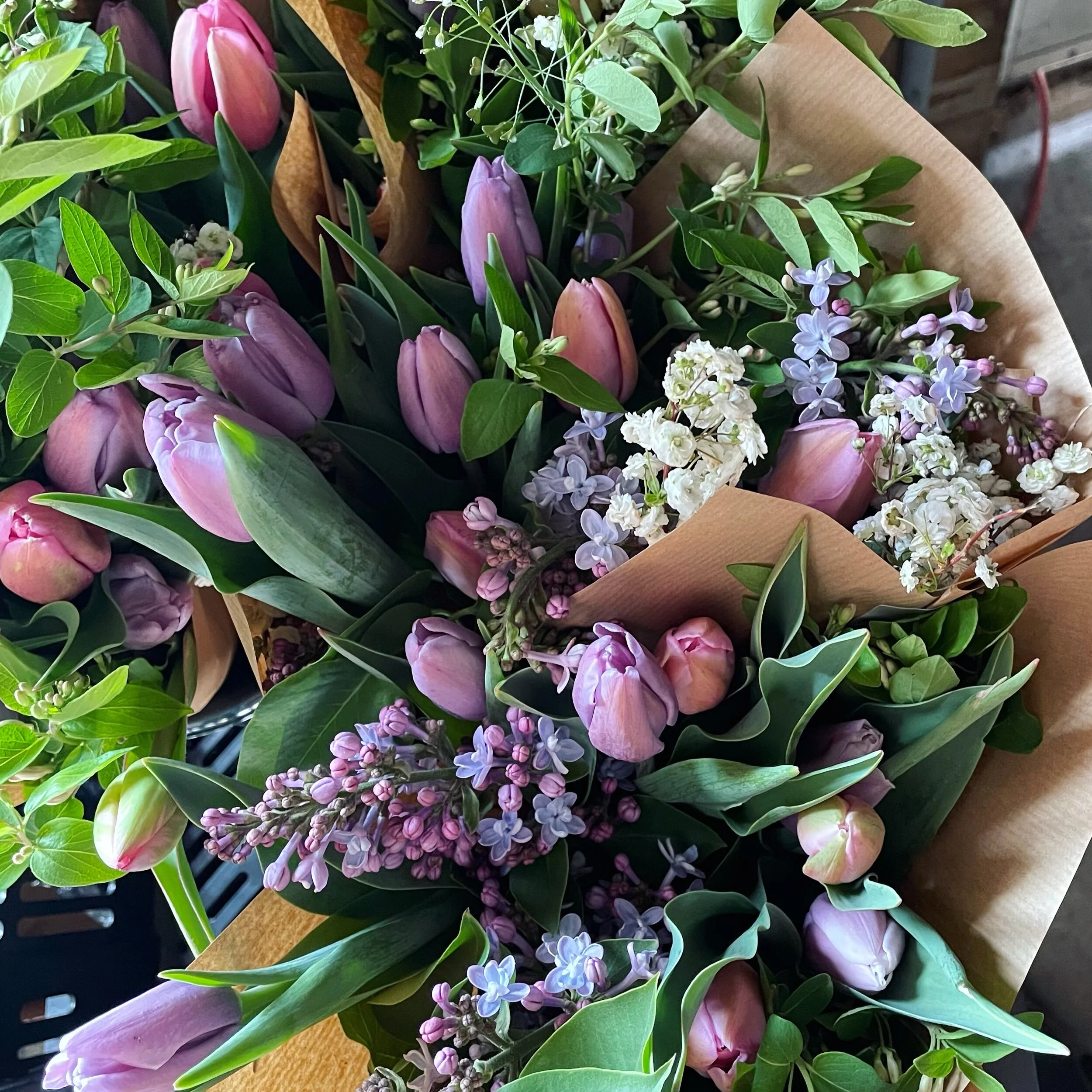 07342097-EB43-49EE-92A7-28DC572E66E7