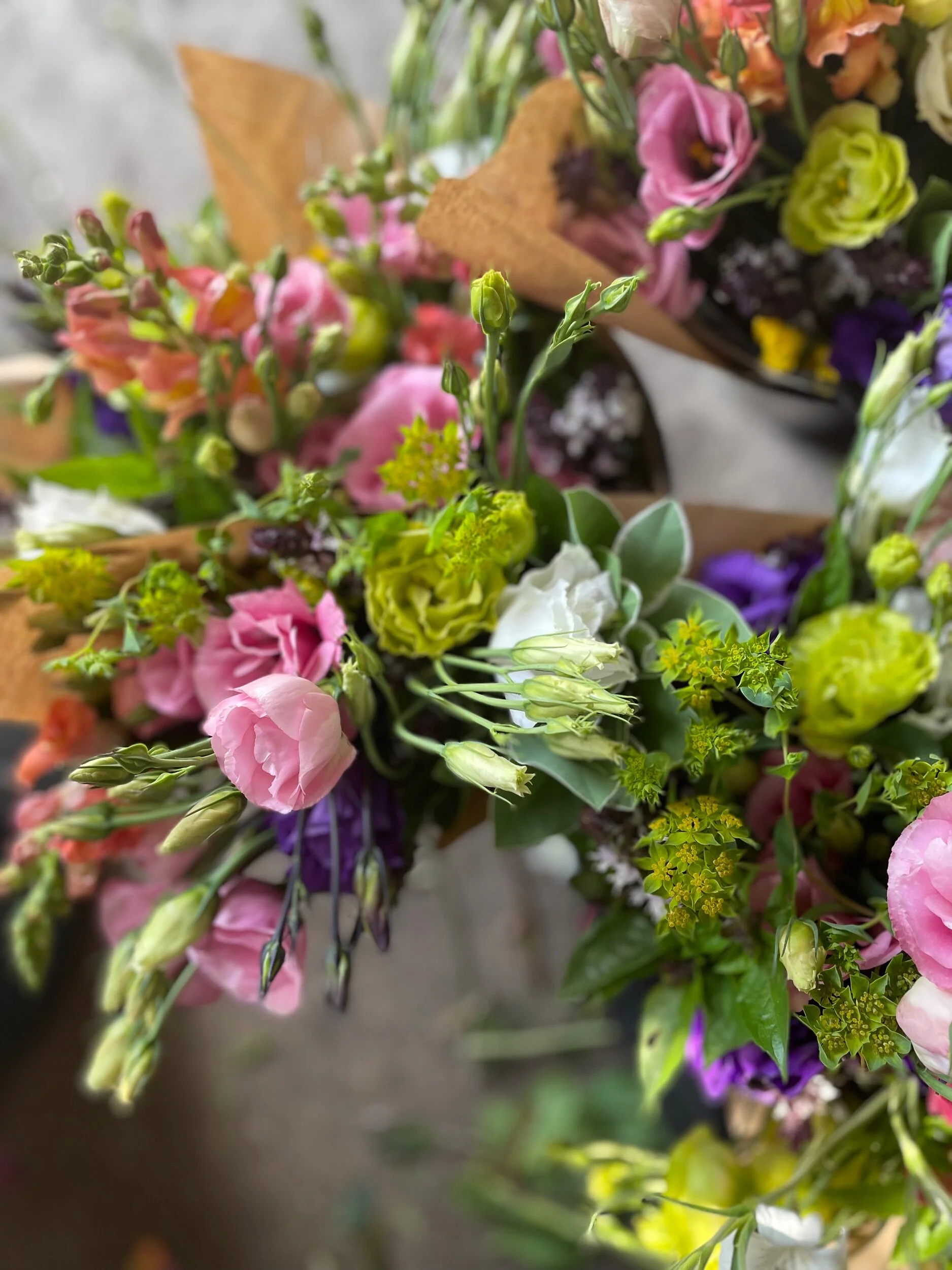 EFEE7D4C-9DFF-4A5D-A4AB-D57BE7F8FAC8