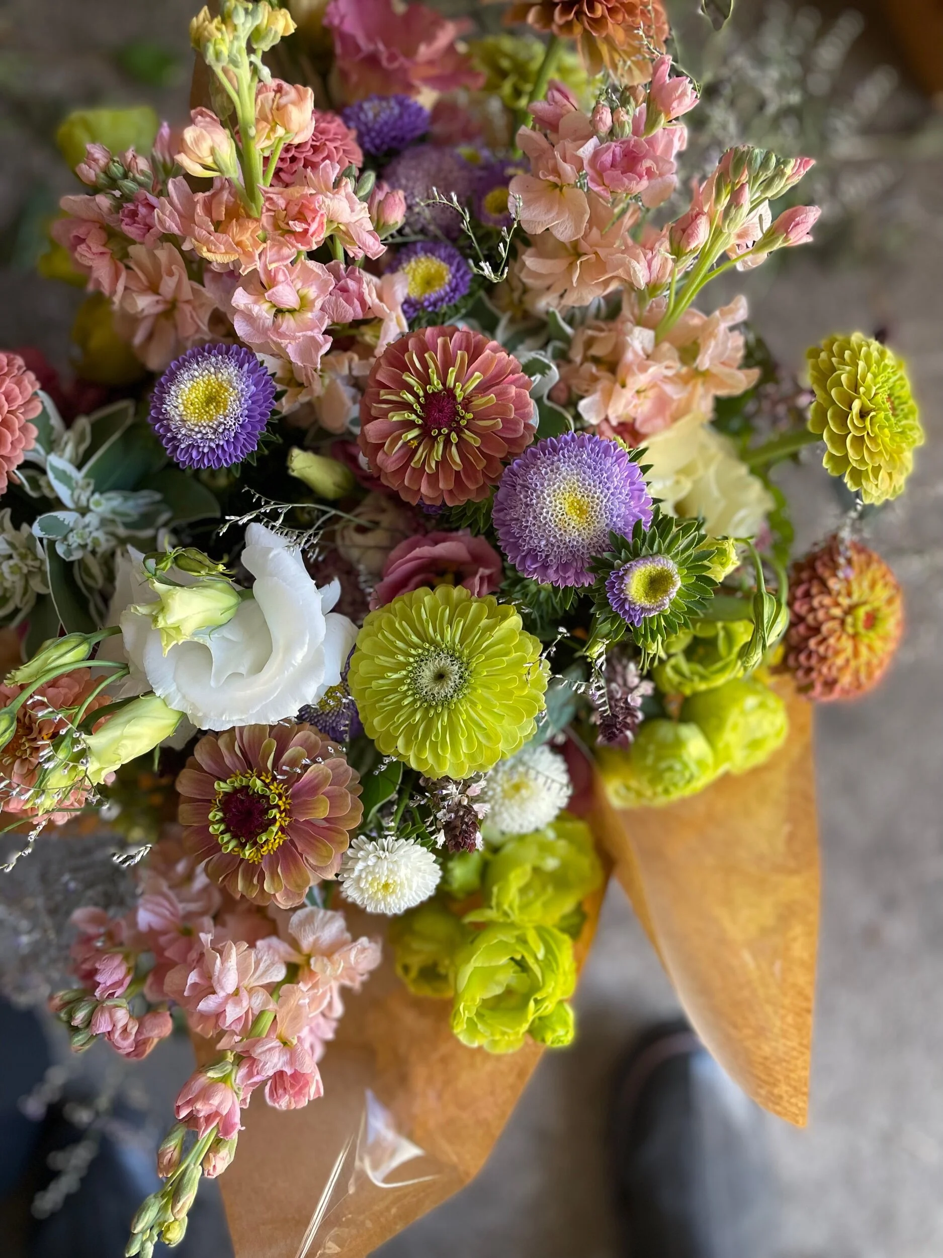 FE8506D2-2CC8-49C0-B9A5-6C9A90AFF23F