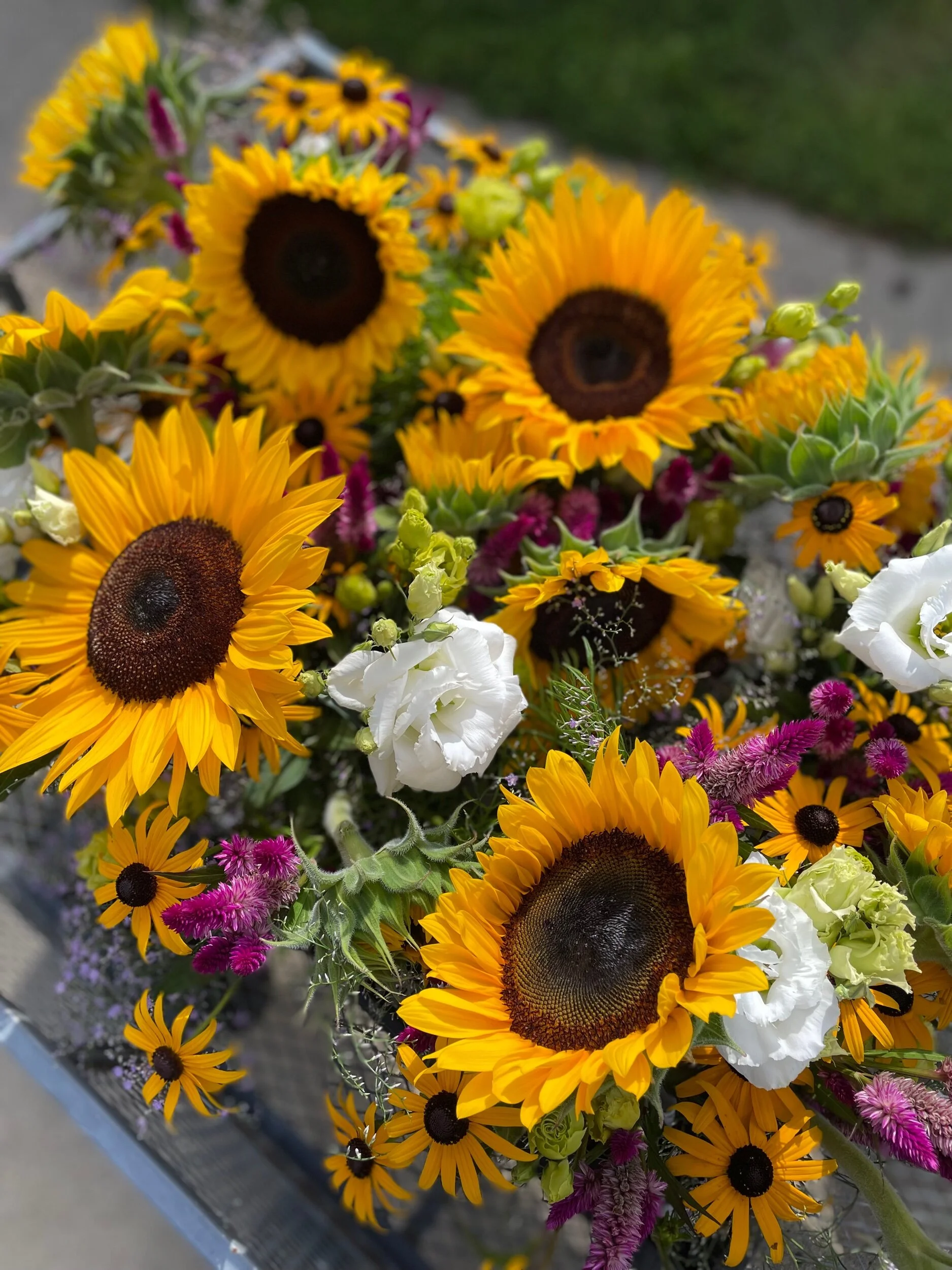 34A7652D-BF99-4F5B-98F8-33B564799B90