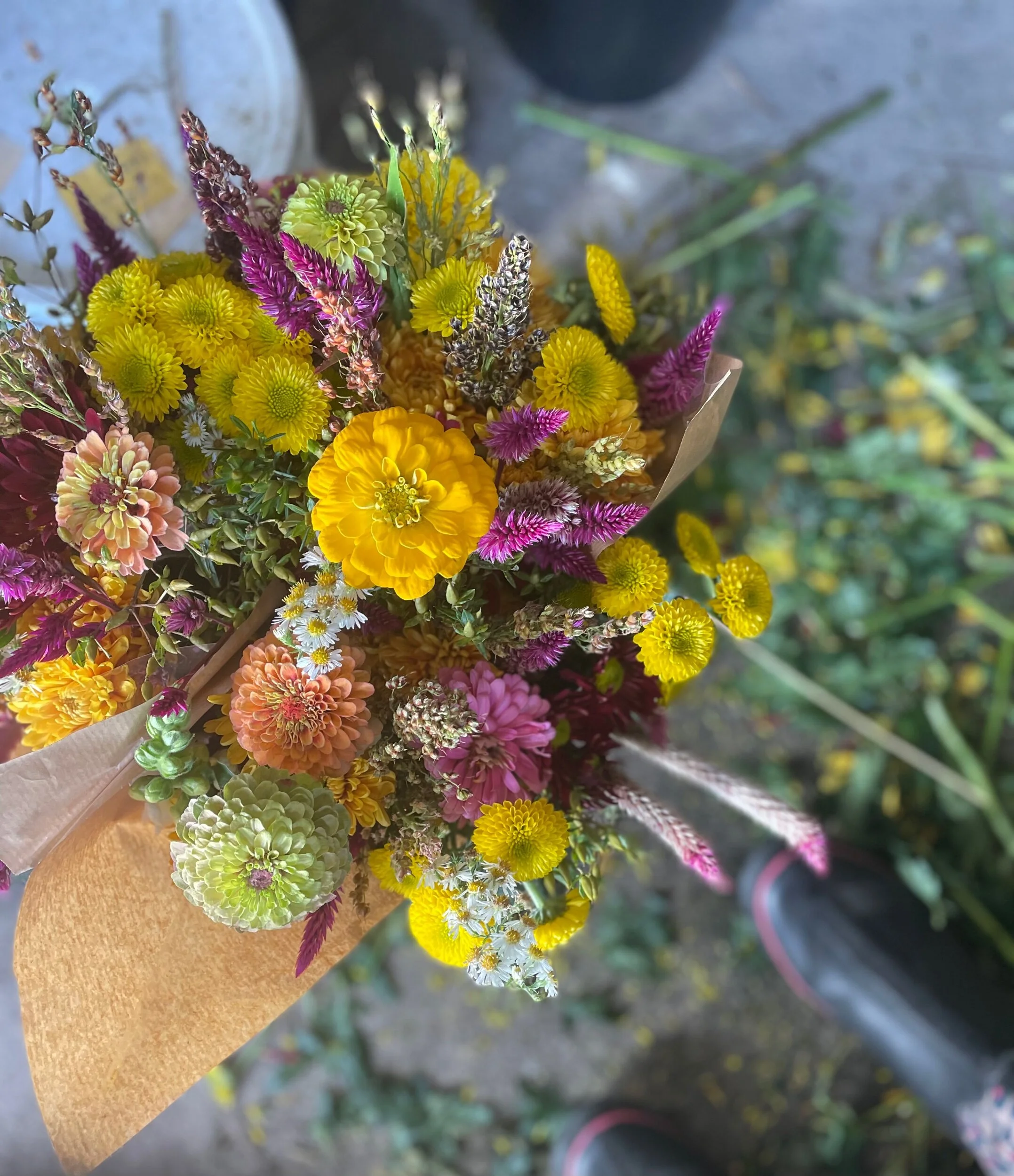 A70DB6E5-D726-46A4-A61B-0C27E7A6F55D