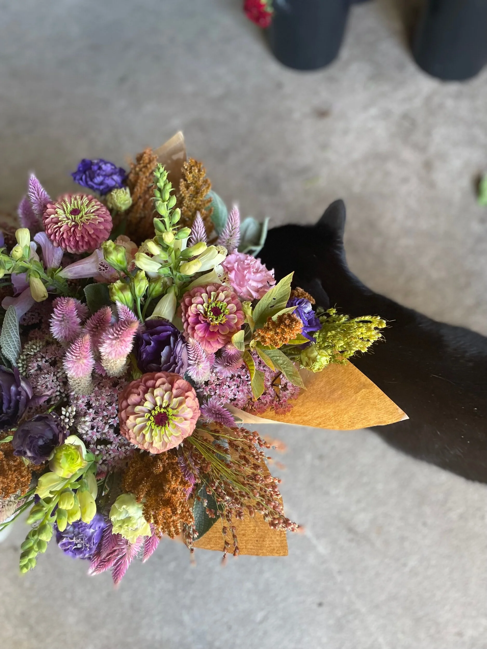 6383222D-DFC3-49DC-8D58-F5F71A2B06AB