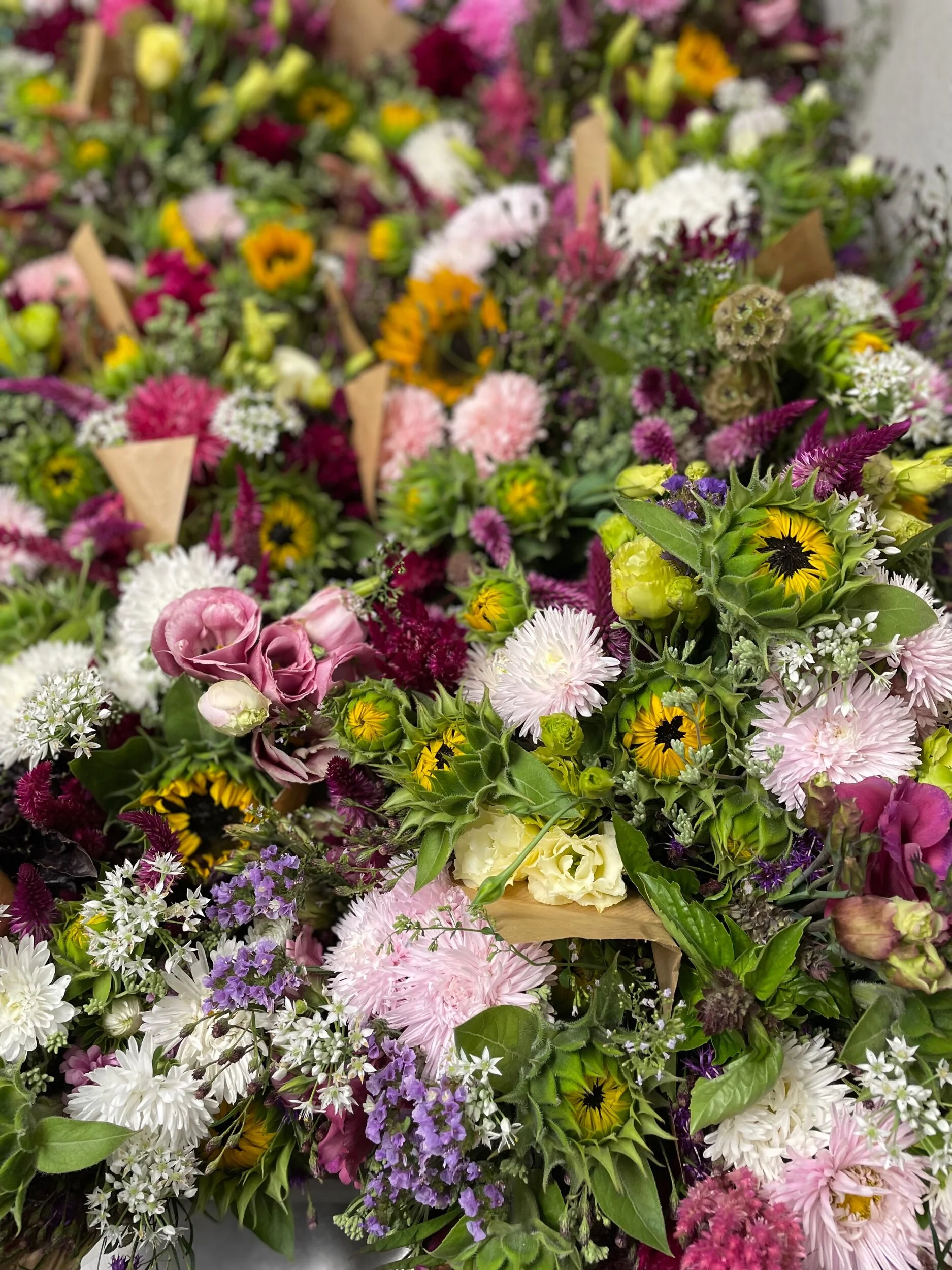 9CA7CD49-ACE0-400B-8247-16DE4B582A2D