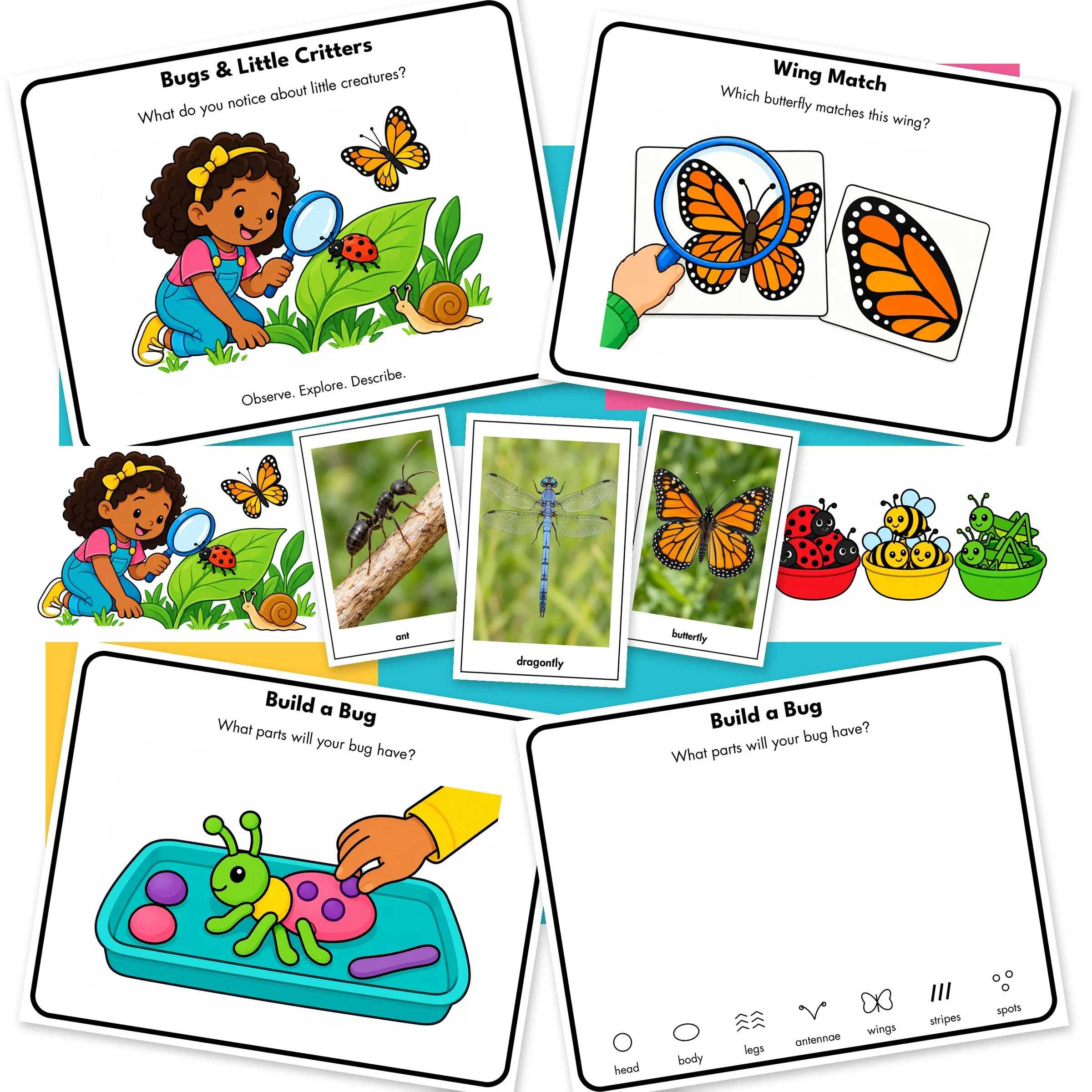 Bugs-Website-Main.jpg