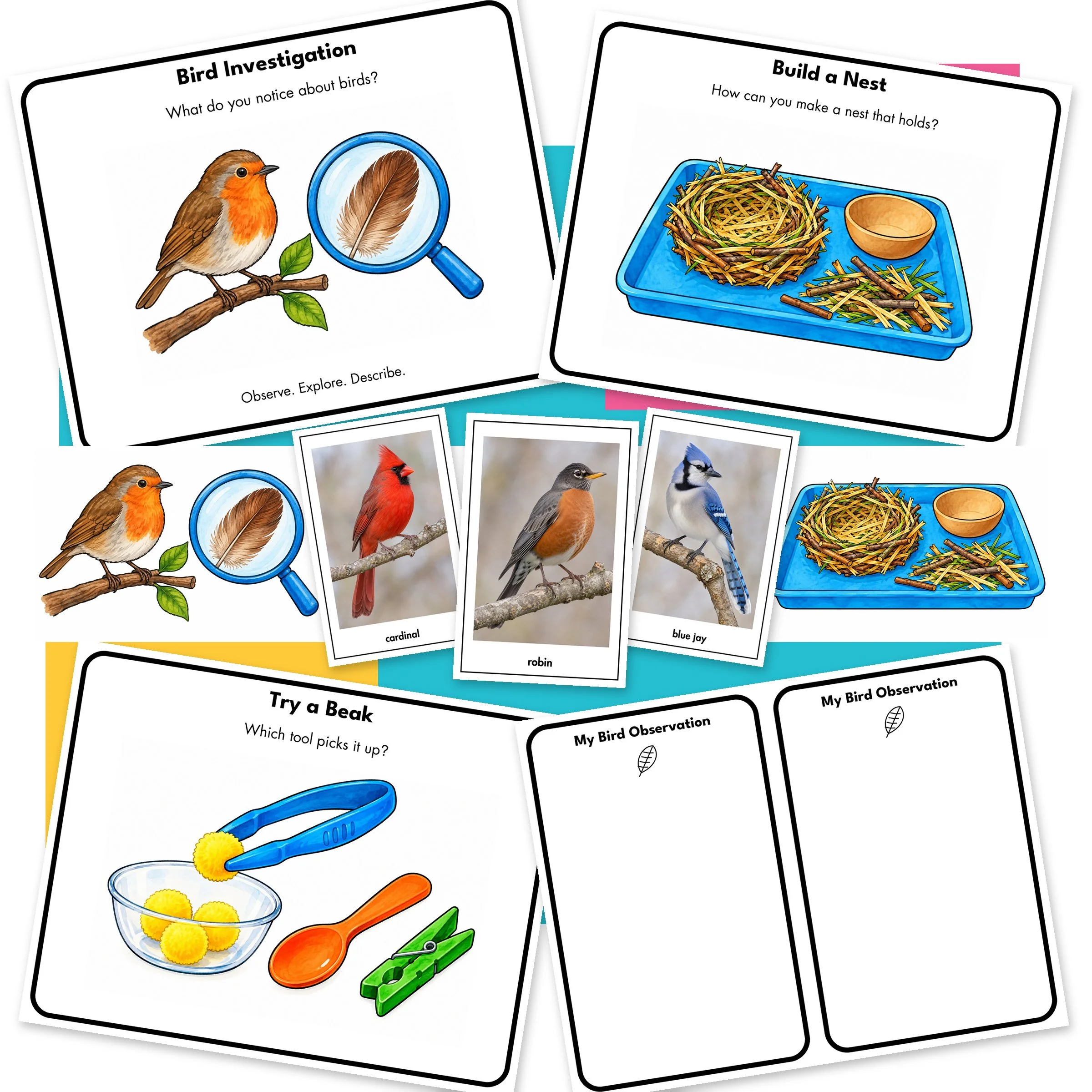 Bird-Website-Main.jpg