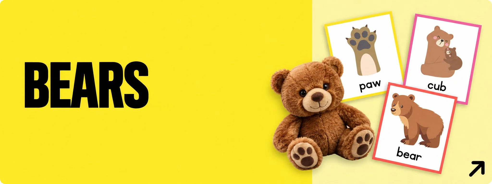 02-Bears-Yellow.jpg