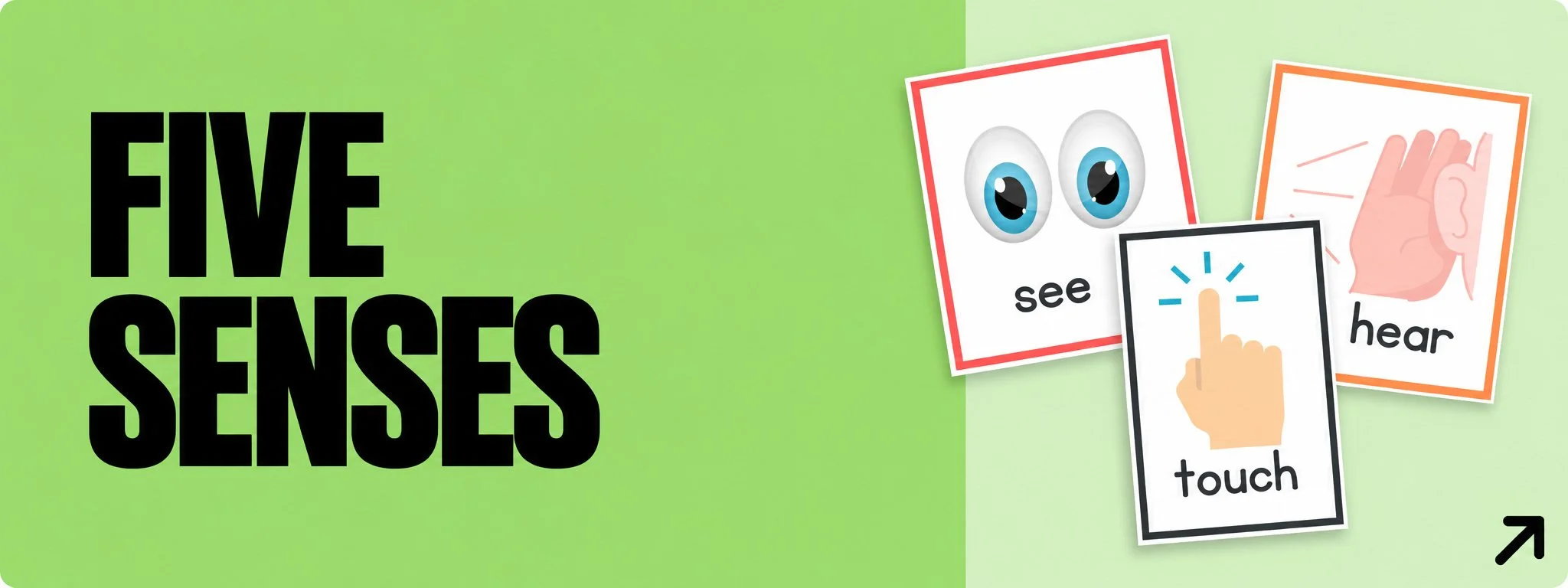 14-Five-Senses-Green.jpg
