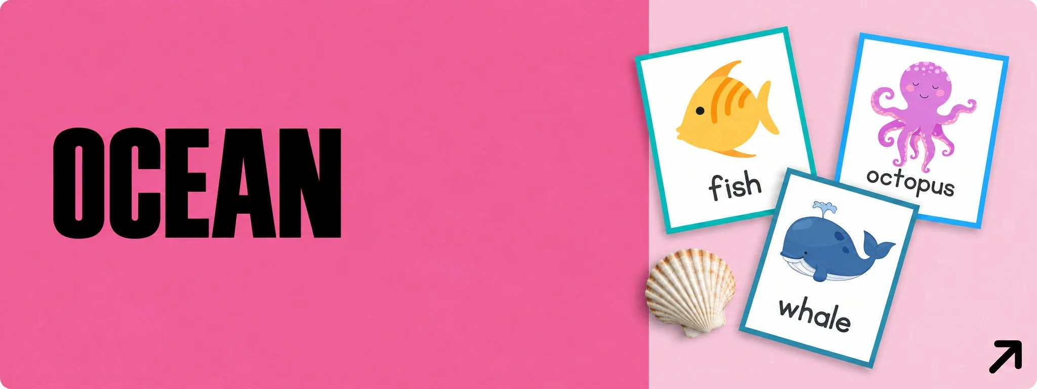 17-Ocean-Pink.jpg