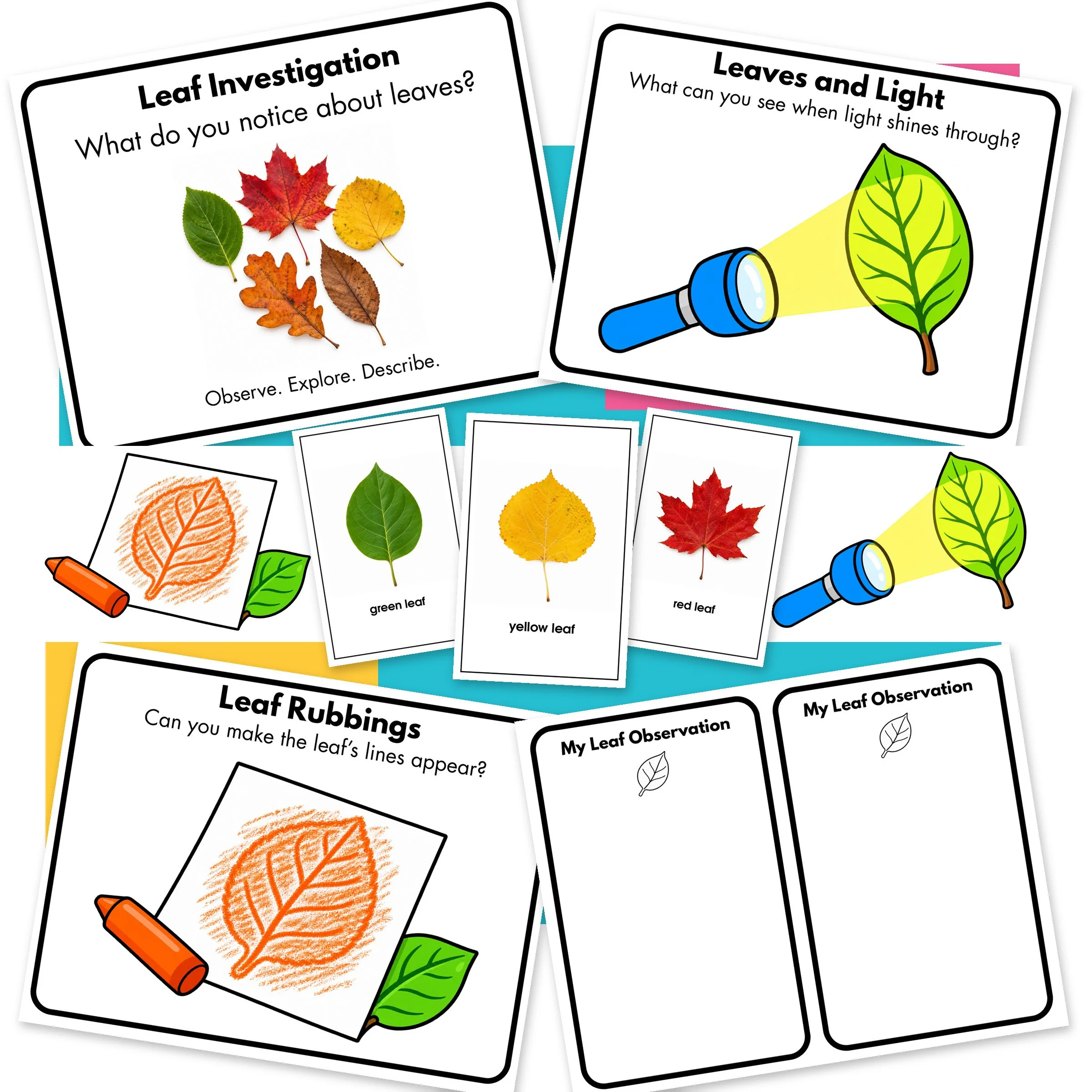 Leaf-01-Main.jpg