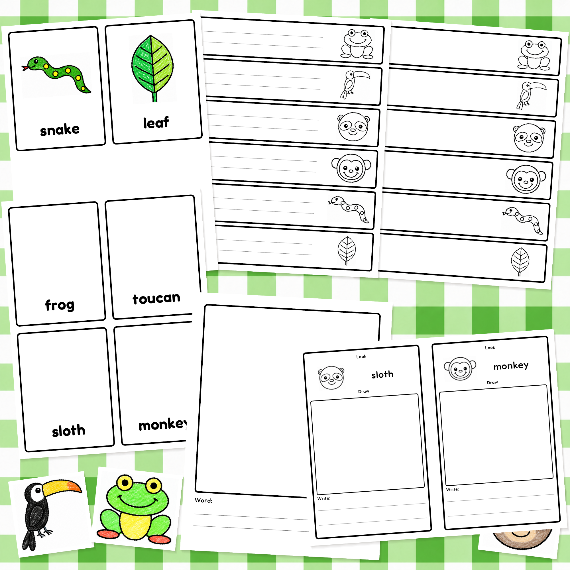 Rainforest-Writing-Center-Mockup-02.png