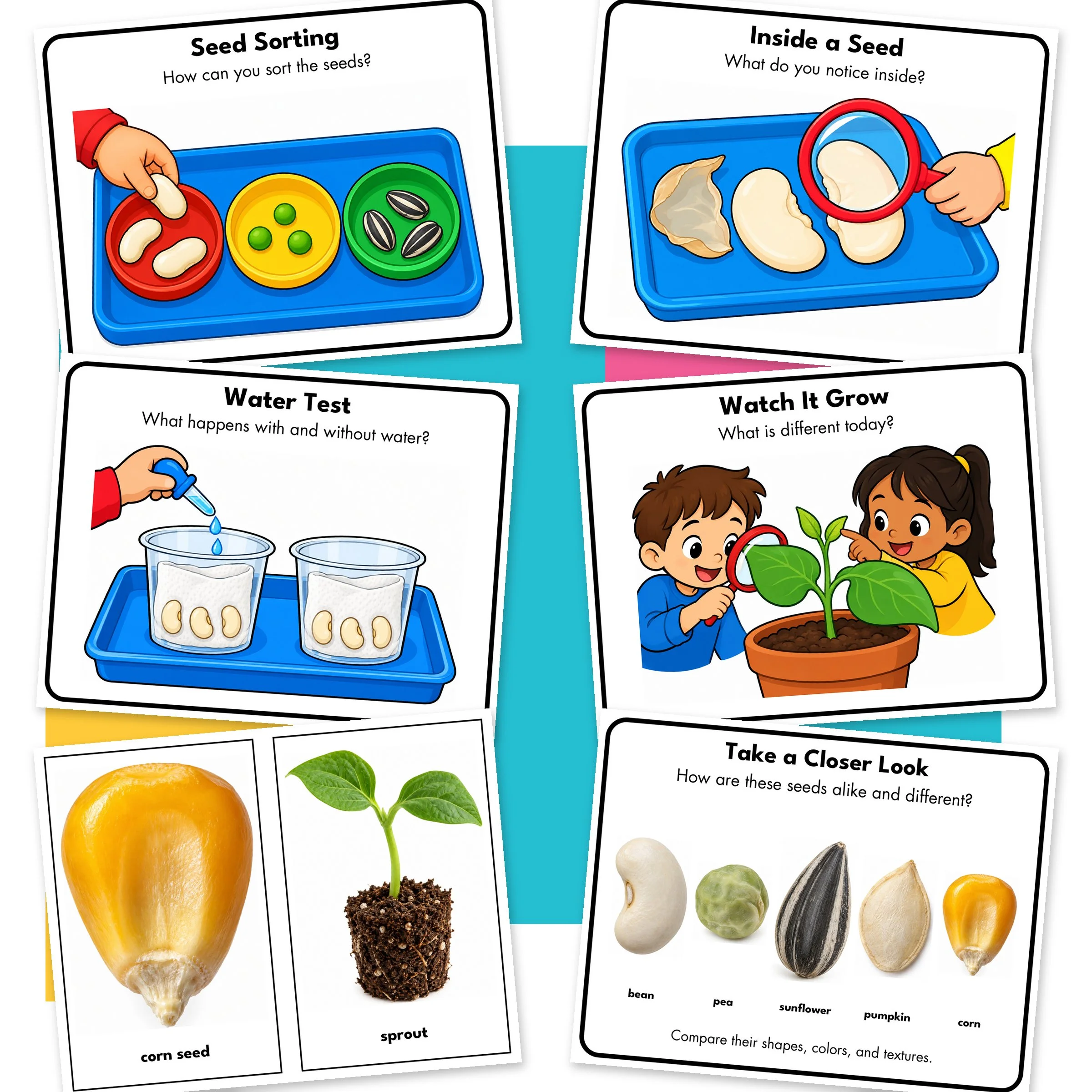 Seeds-and-Sprouts-02-Additional.jpg