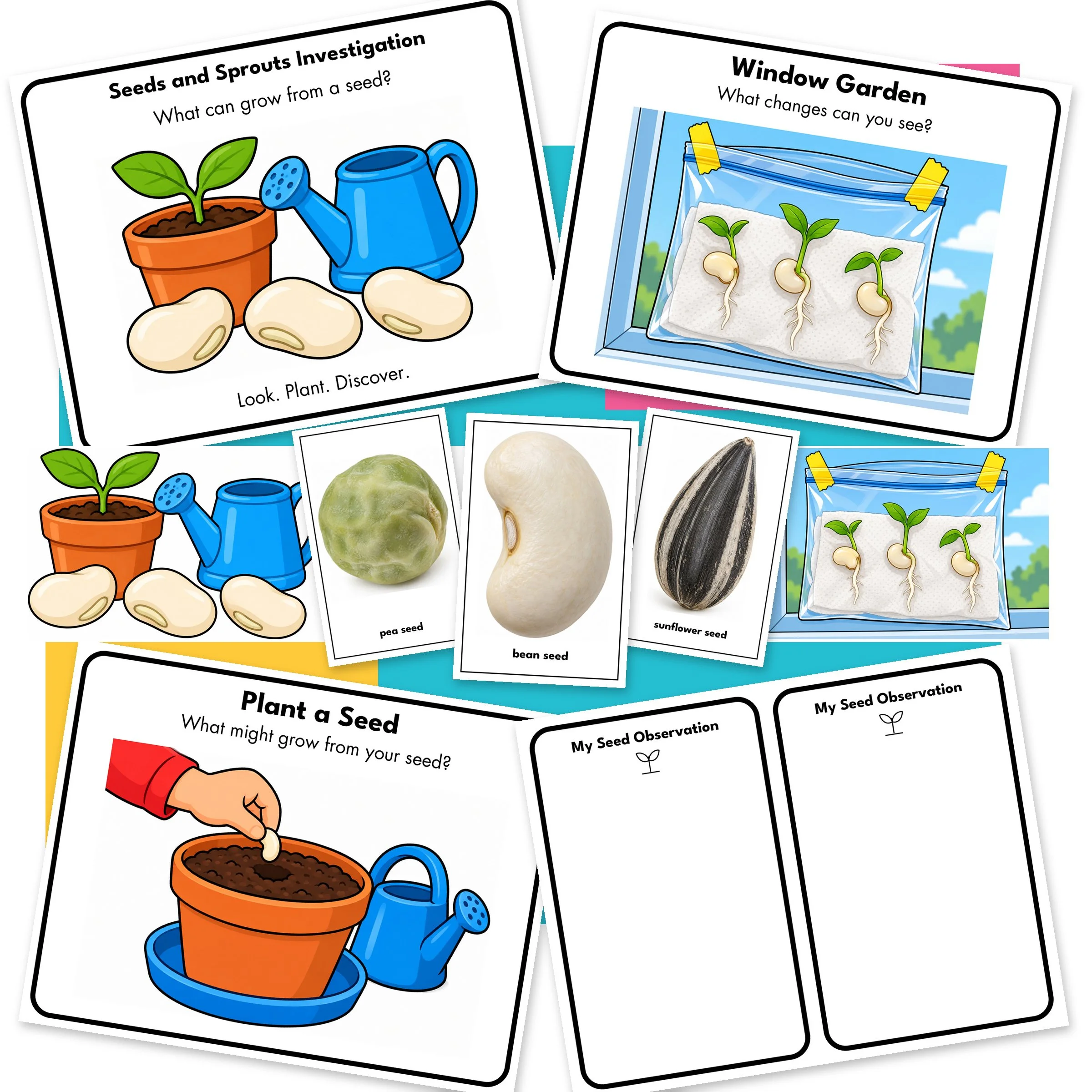 Seeds-and-Sprouts-01-Main.jpg
