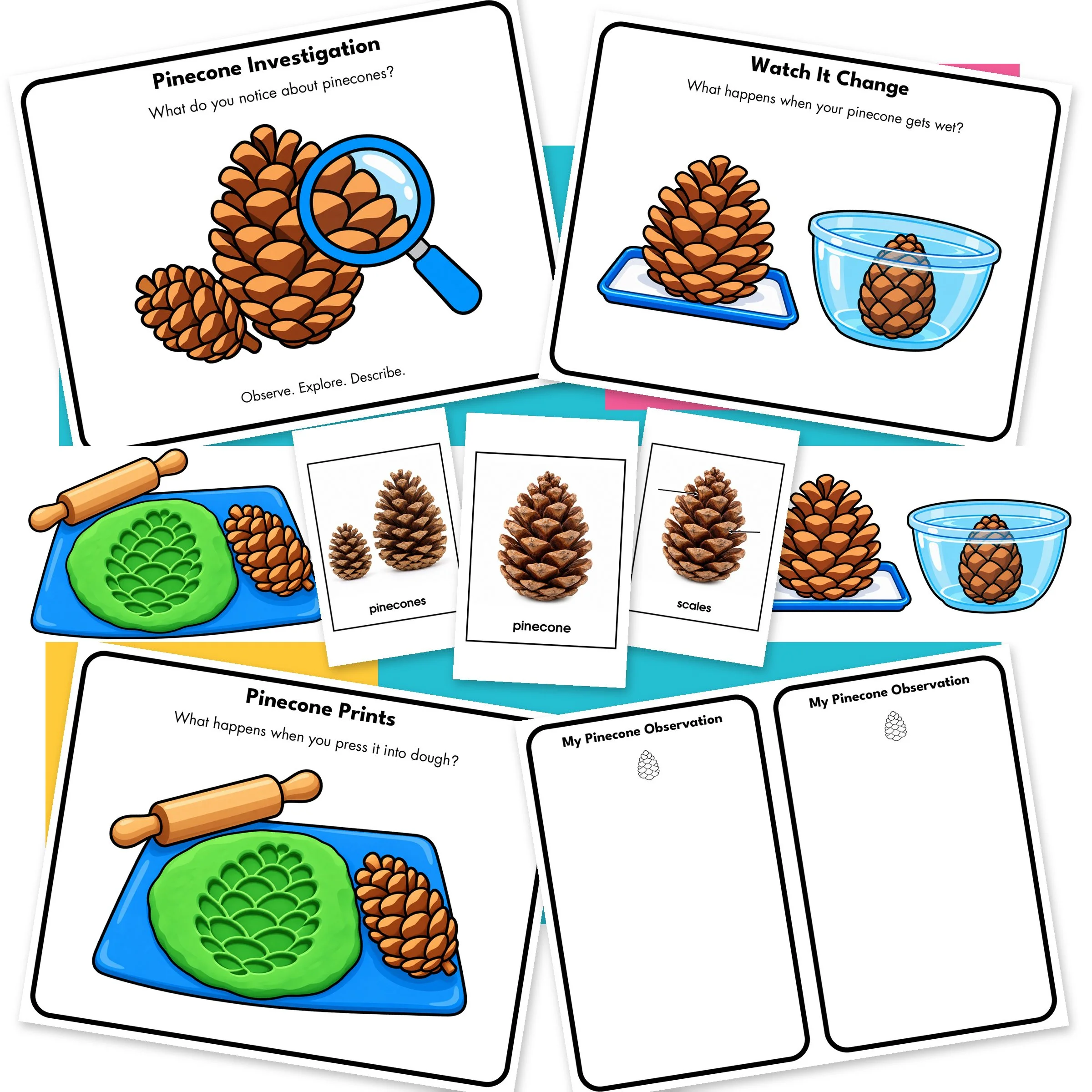 Pinecone-01-Main.jpg