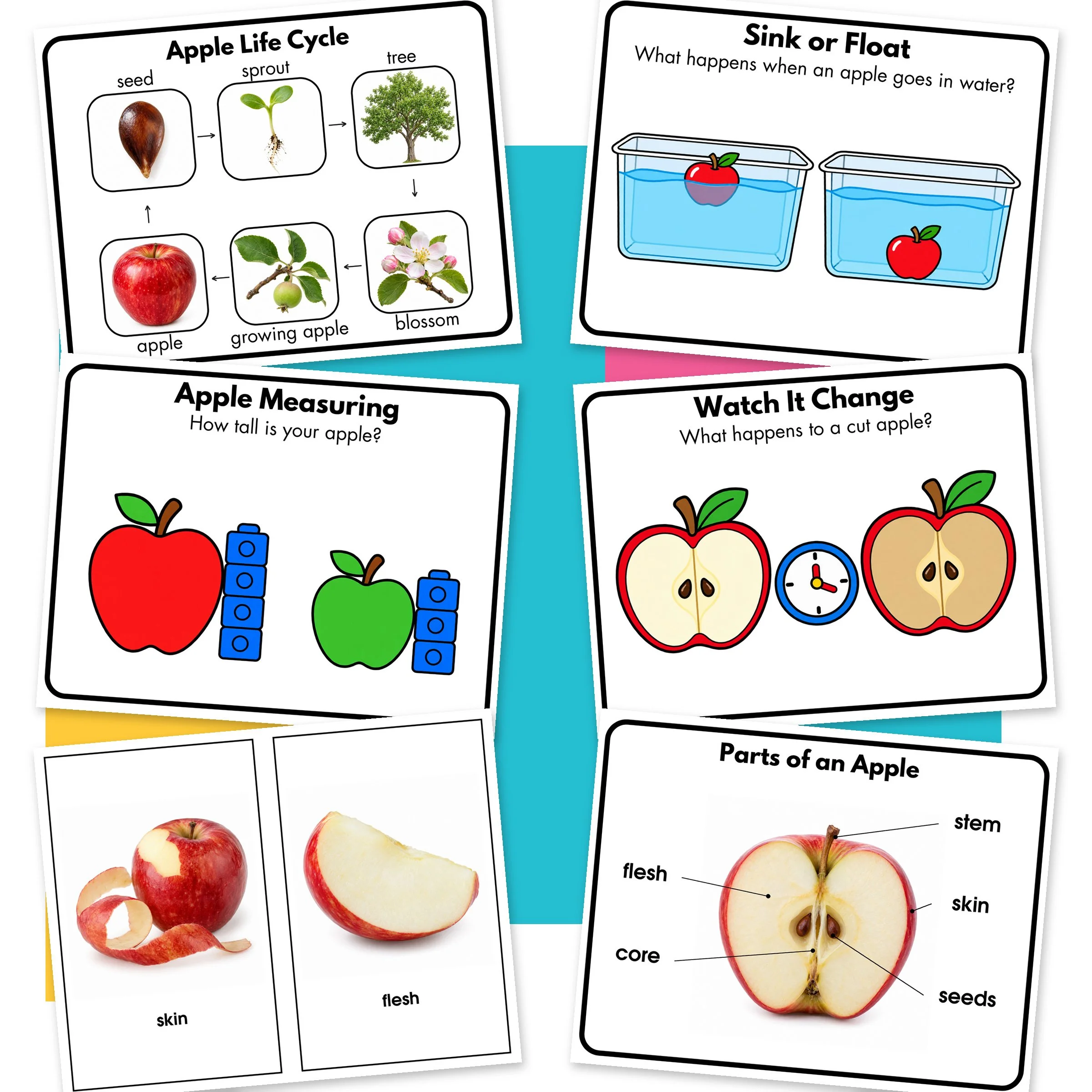 Apple-02-Additional.jpg
