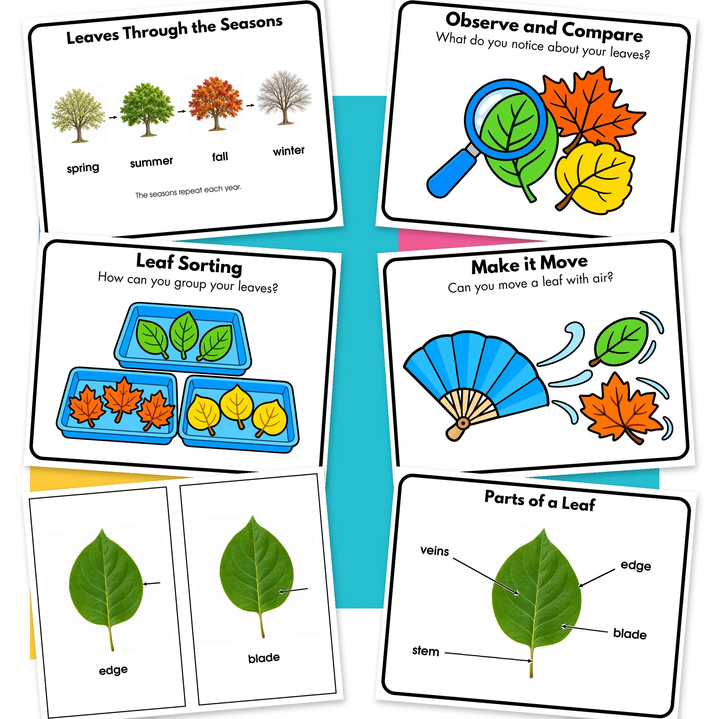 Leaf-02-Additional.jpg