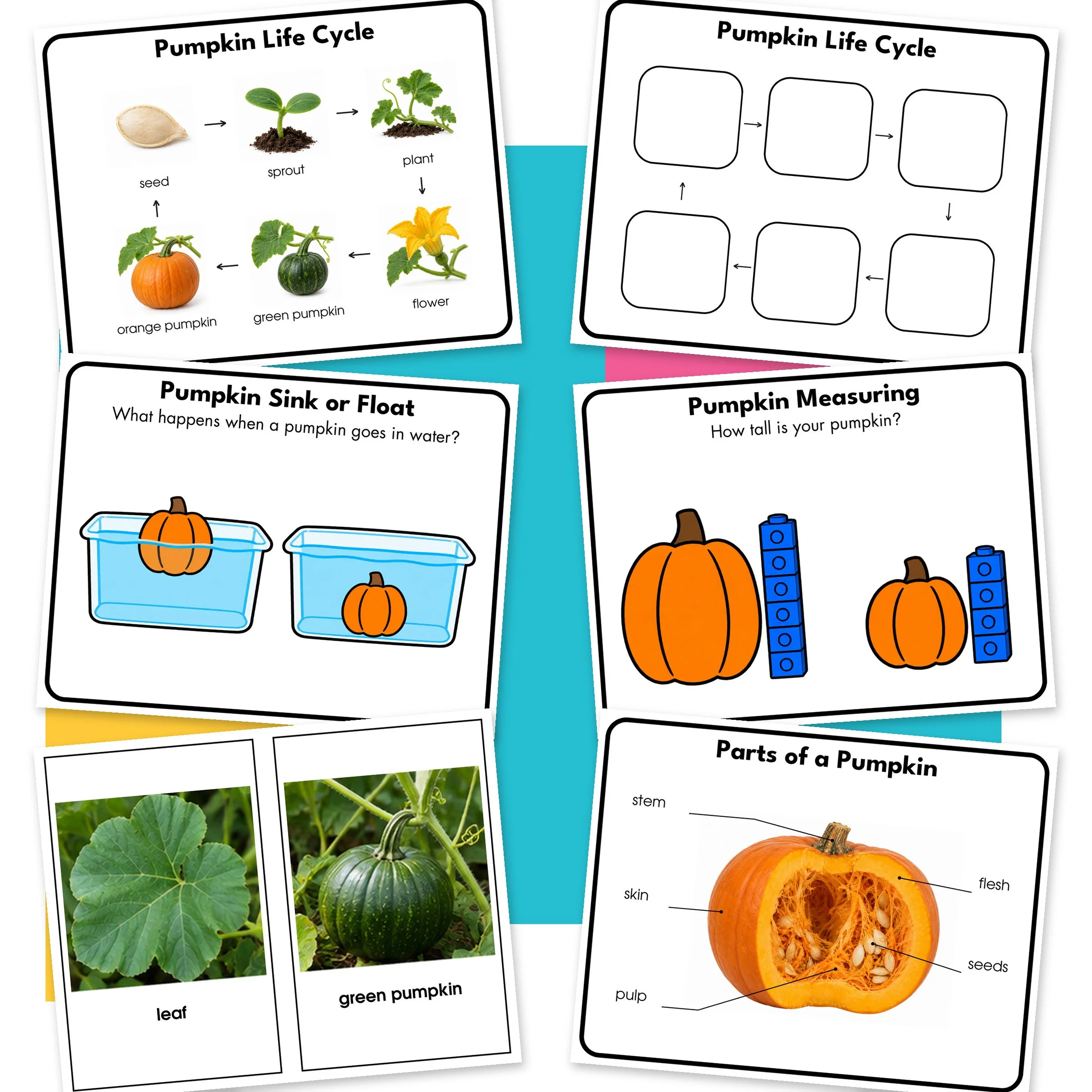 Pumpkin-02-Additional.jpg