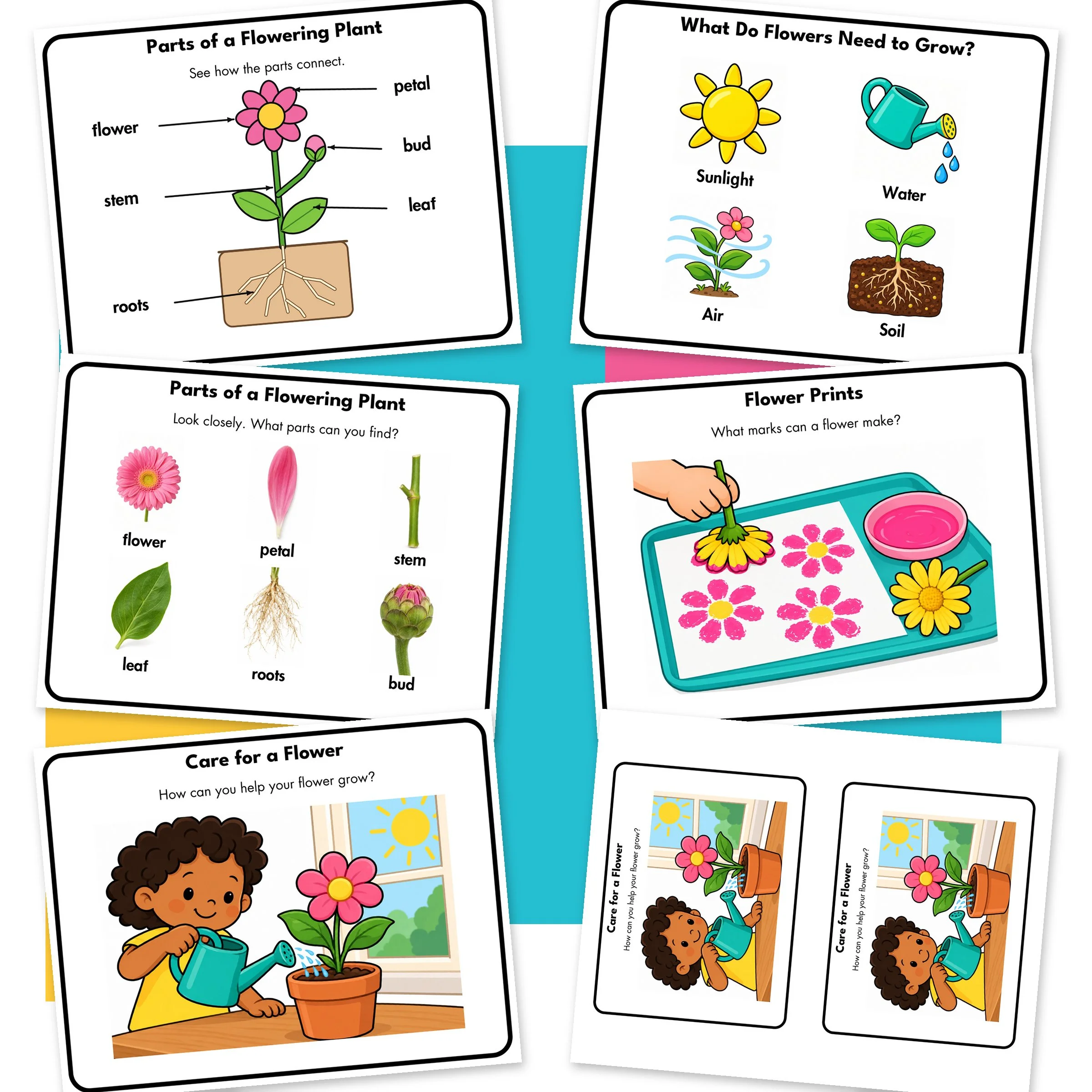 Flower-Website-Additional.jpg