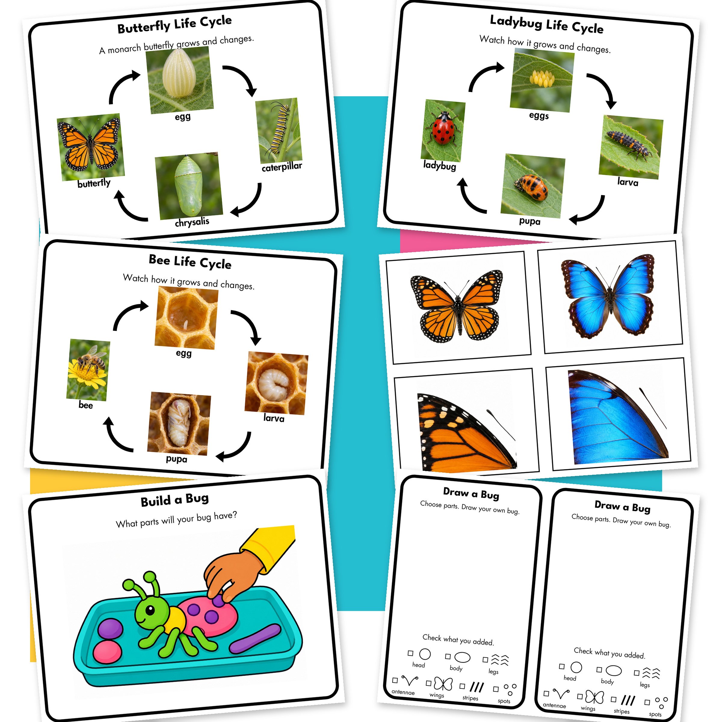 Bugs-Website-Additional.jpg