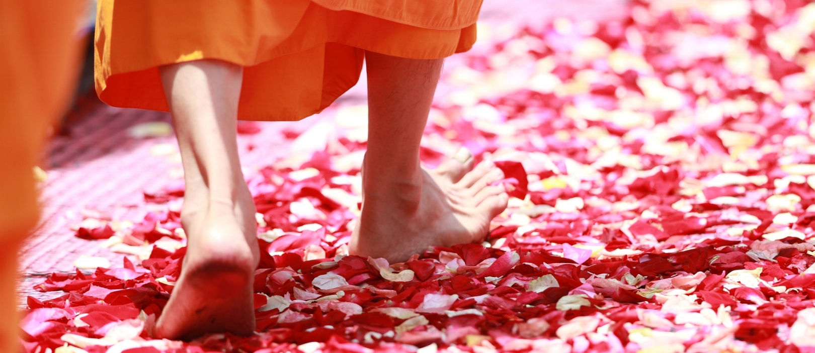 Walking Meditation with Zen Monks - Photo credit: Pixabay