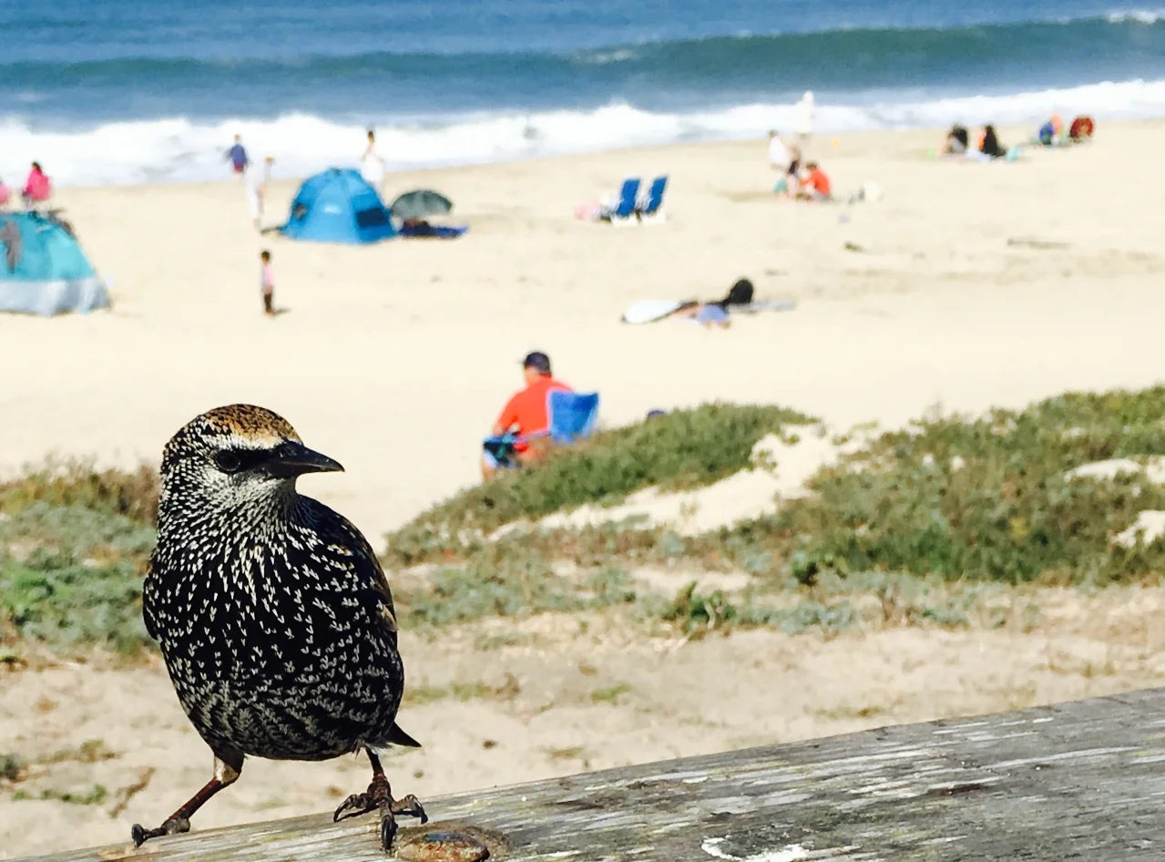 Photo Credit: Barry Ross