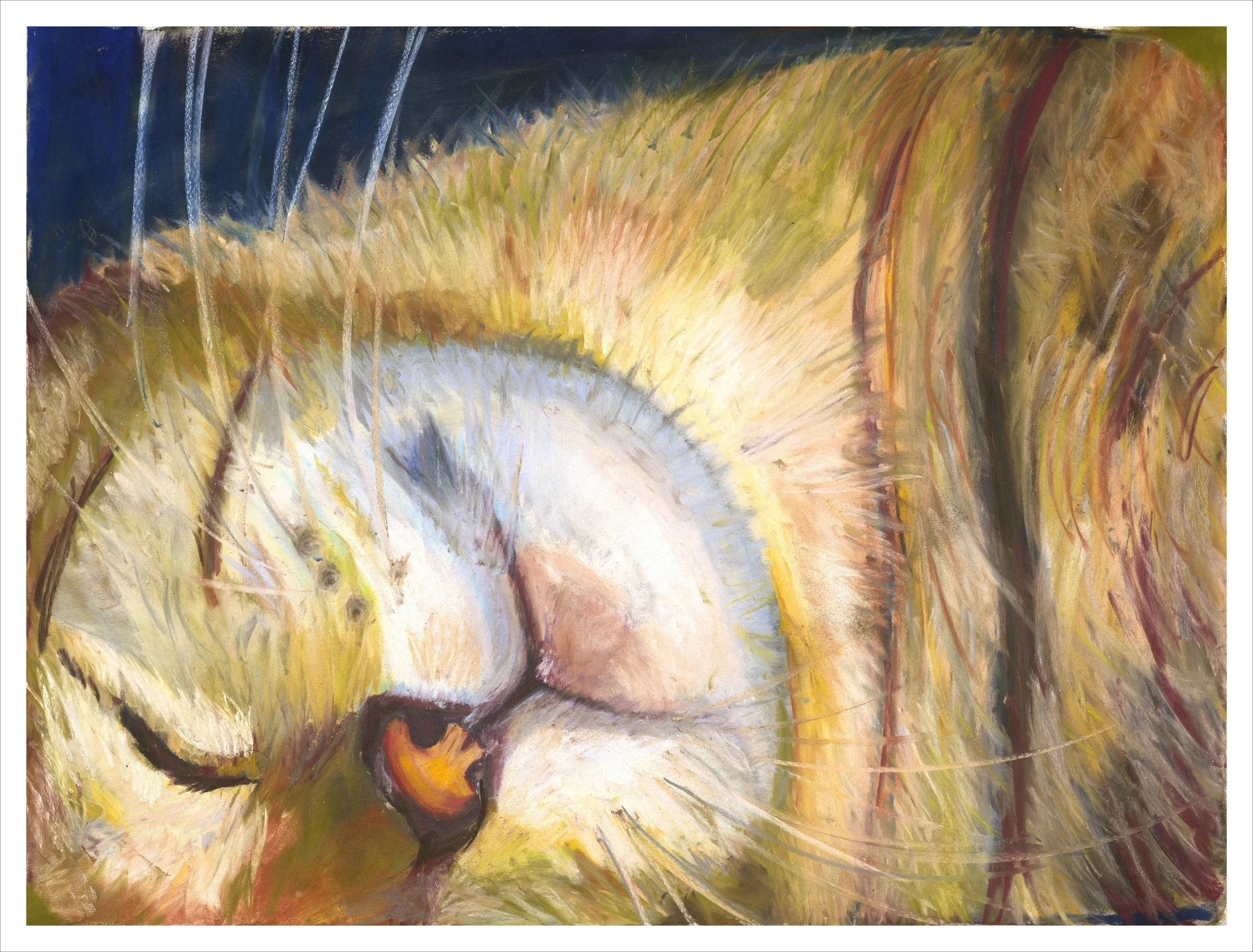 sleeping cat a1998 B pp12 9600 ic canvas per 18x24+.5.jpg