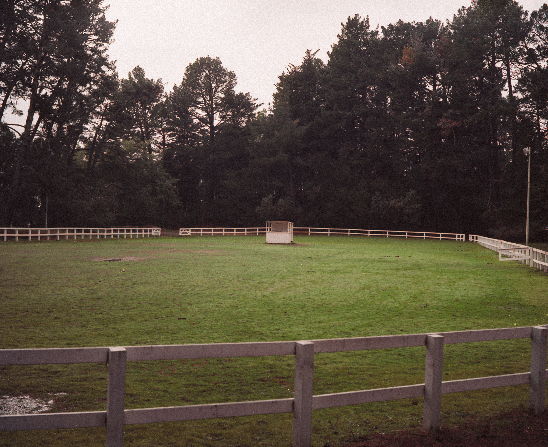 cornfield361 4862.jpg