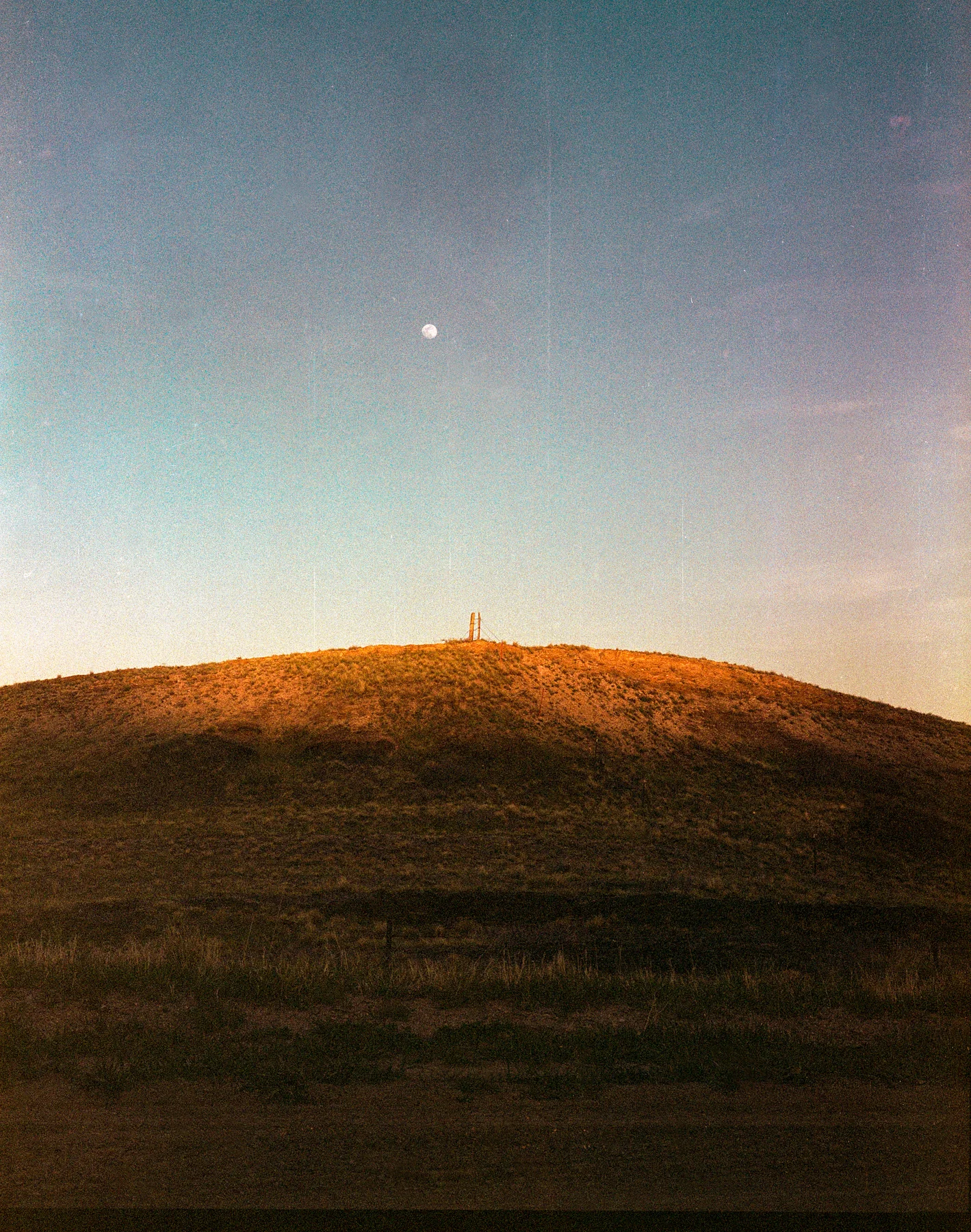 lomo5.jpg