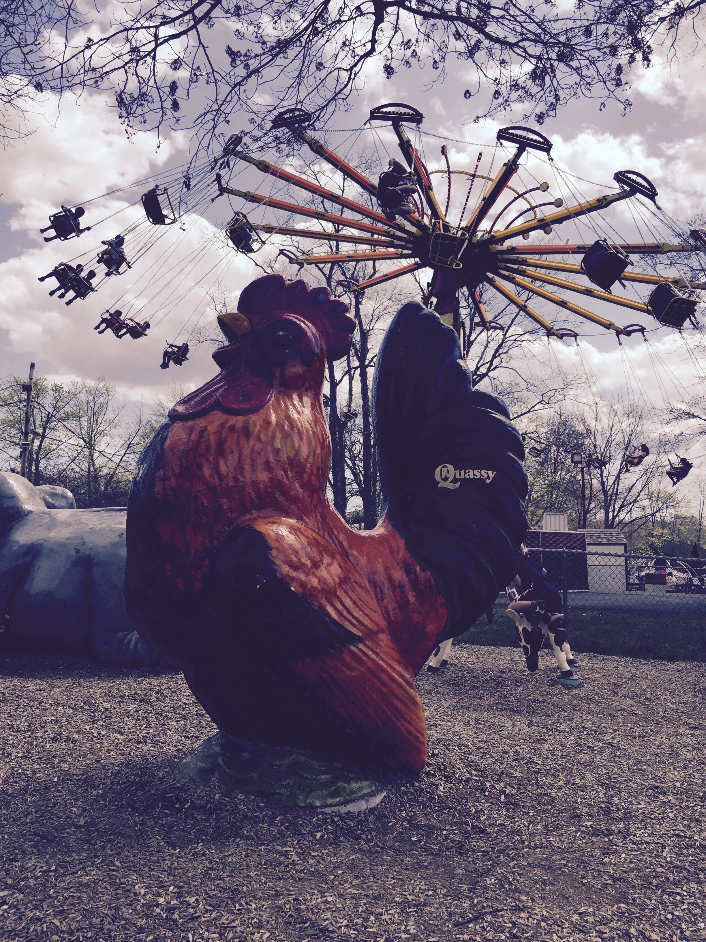 This is one big cock!