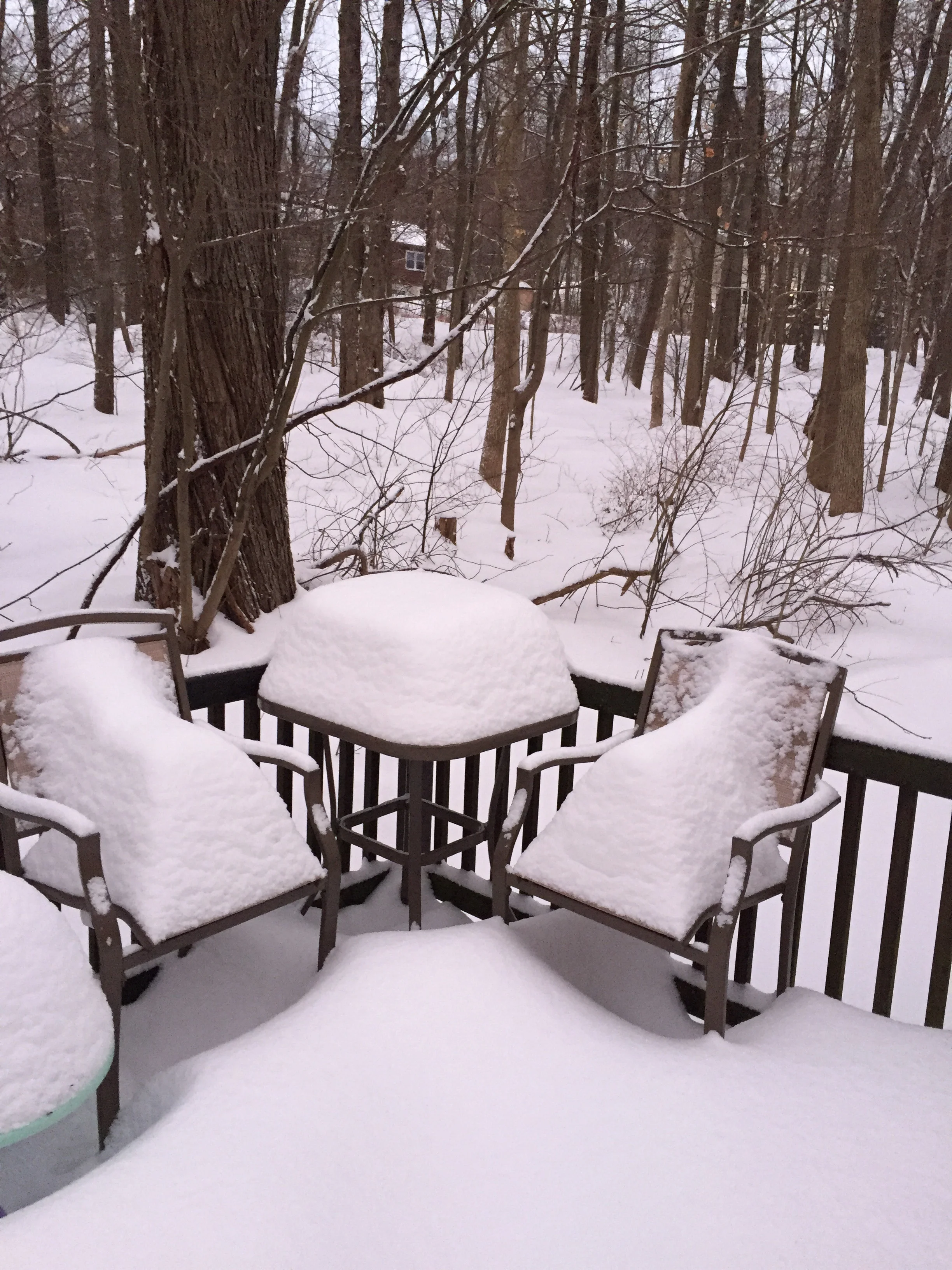 Just think if was like this around this time last year. I hate winter but this does look better than mud and leaves