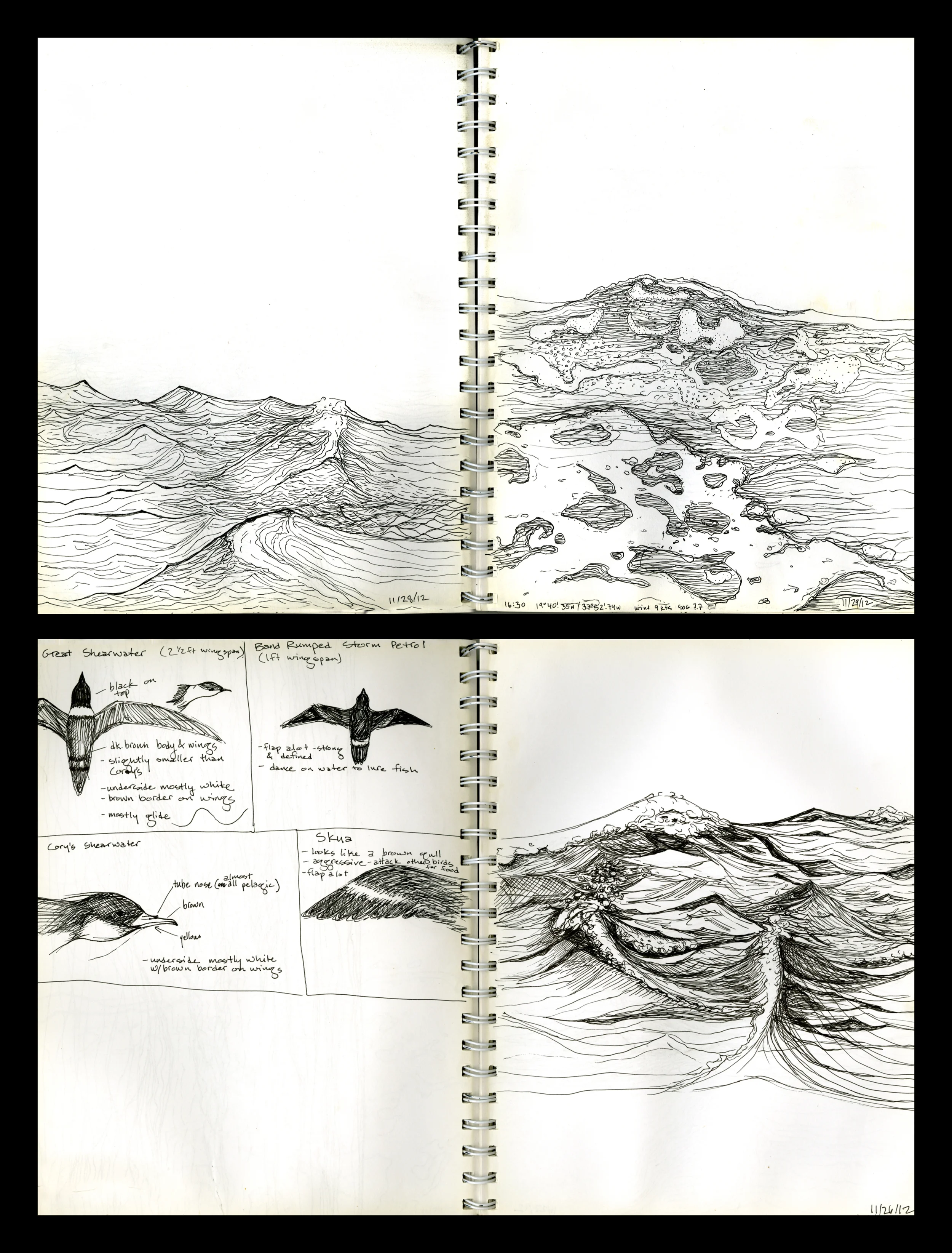 Sketchbook I
