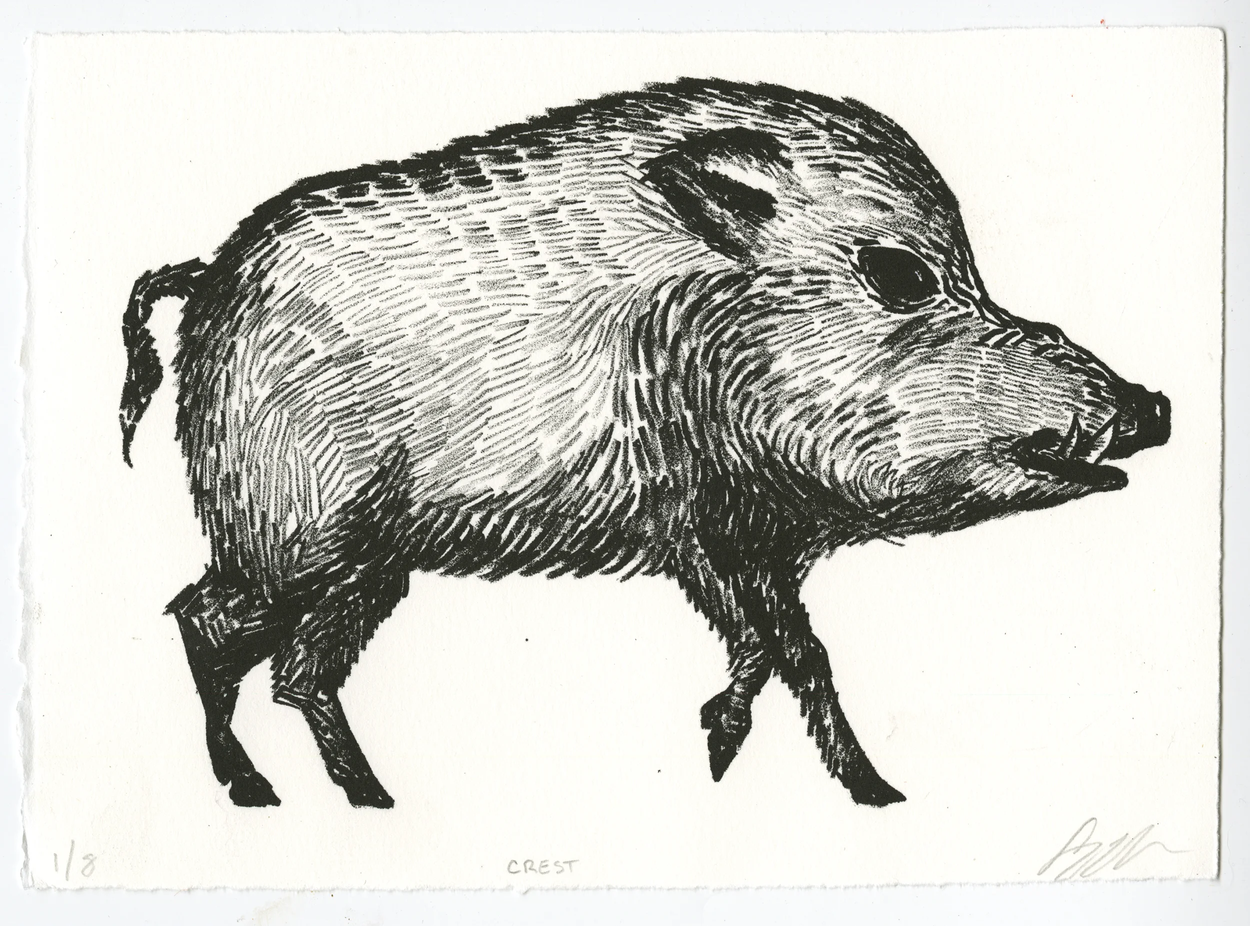 Course: Introduction to Lithography