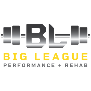 Big League Performance + Rehab