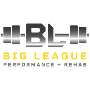 Big League Performance + Rehab