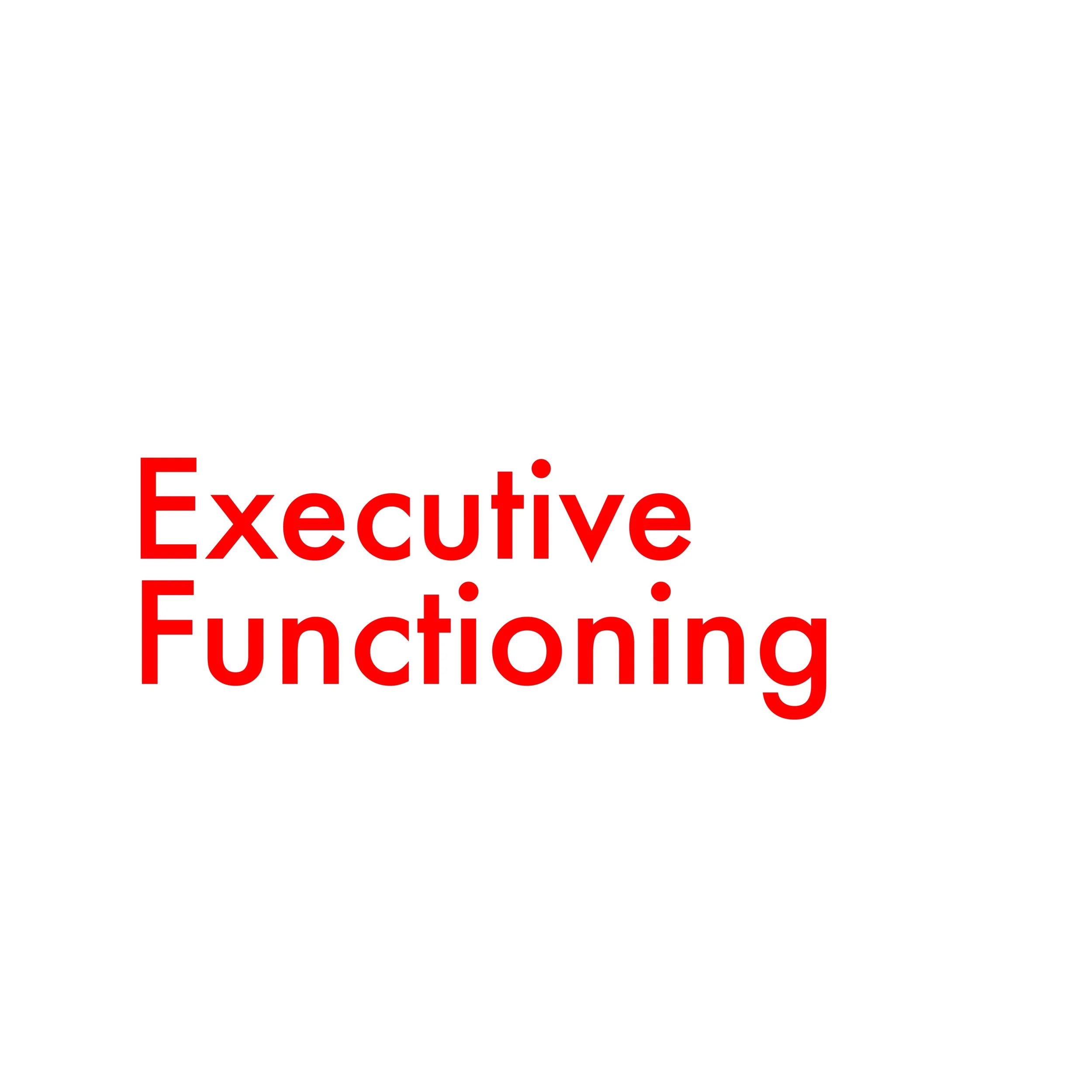 dimension executive.JPG