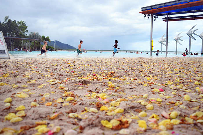 Children running along the edge of Cairns' saltwater lagoon. The flowers on the sand have fallen from the Cassia (yay!) trees that surround the water. 