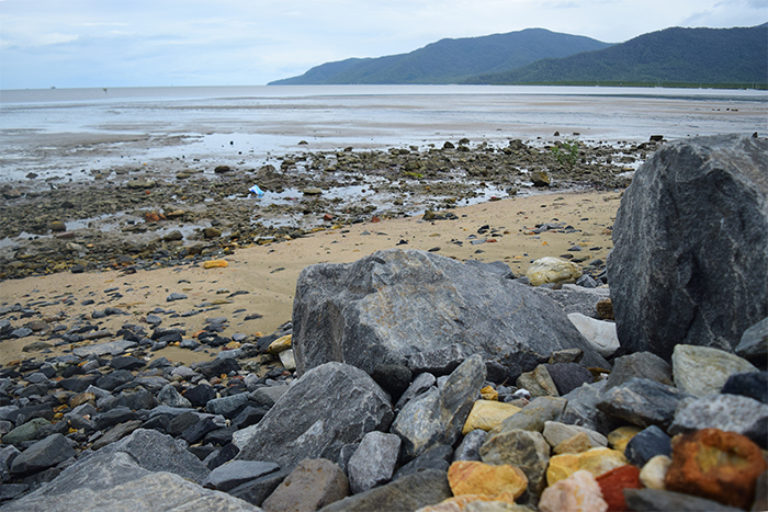  The rocks aren't very appealing to beach-goers, but they've helped sustain the mangroves along the coastline. 