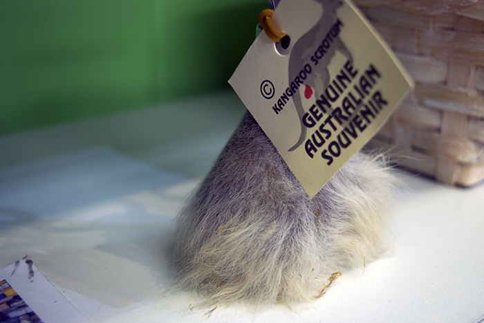  Kangaroo scrotums are usually turned into pouches...so this bottle opener is special for a couple reasons, I guess. 