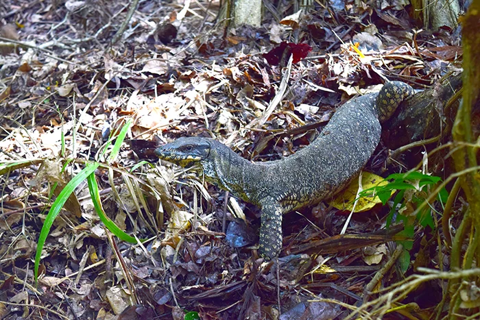 DSC_1383.jpg