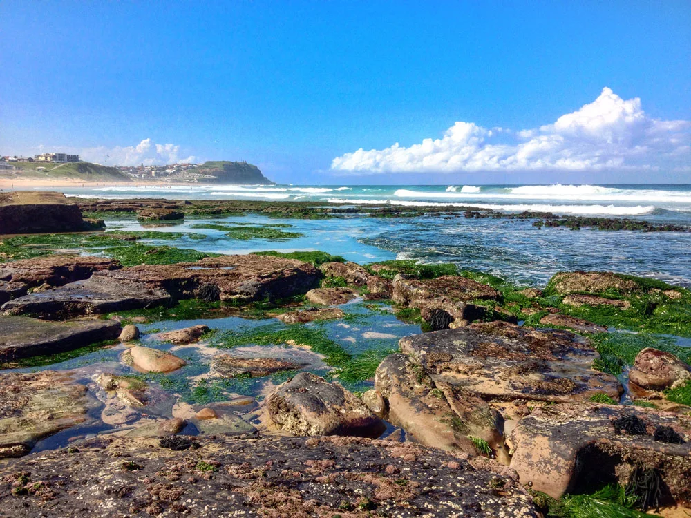 Newcastle, Australia, 2014.