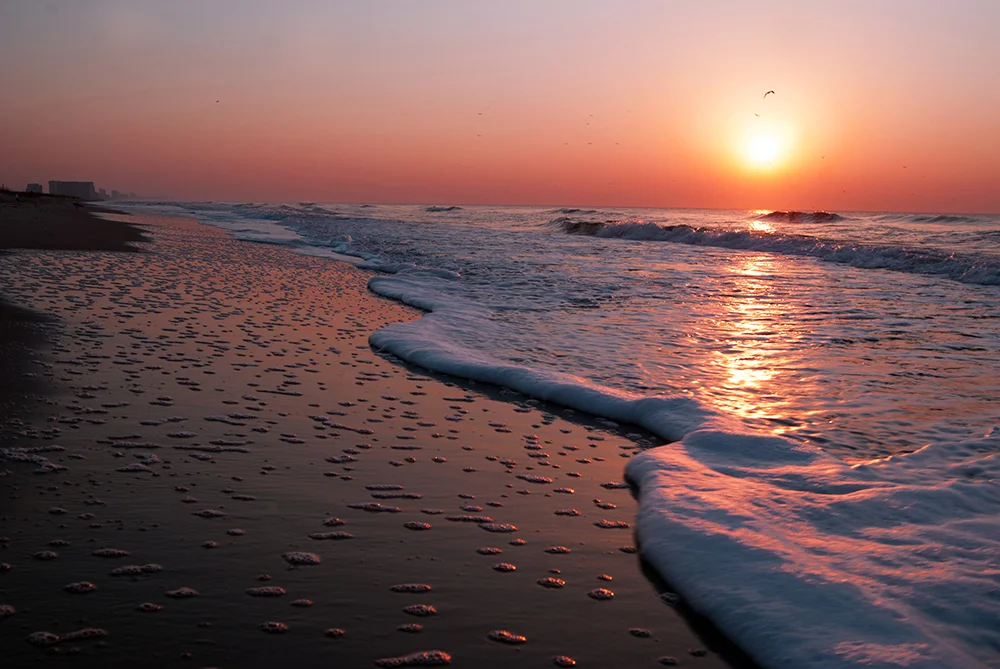 Myrtle Beach, 2012.
