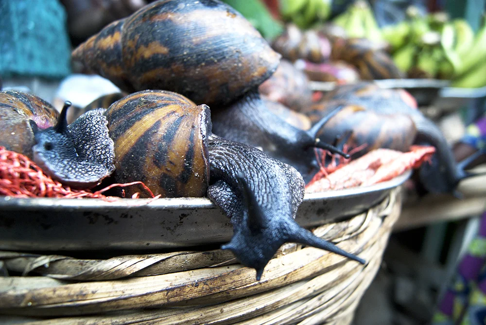 Accra, Ghana, 2011.